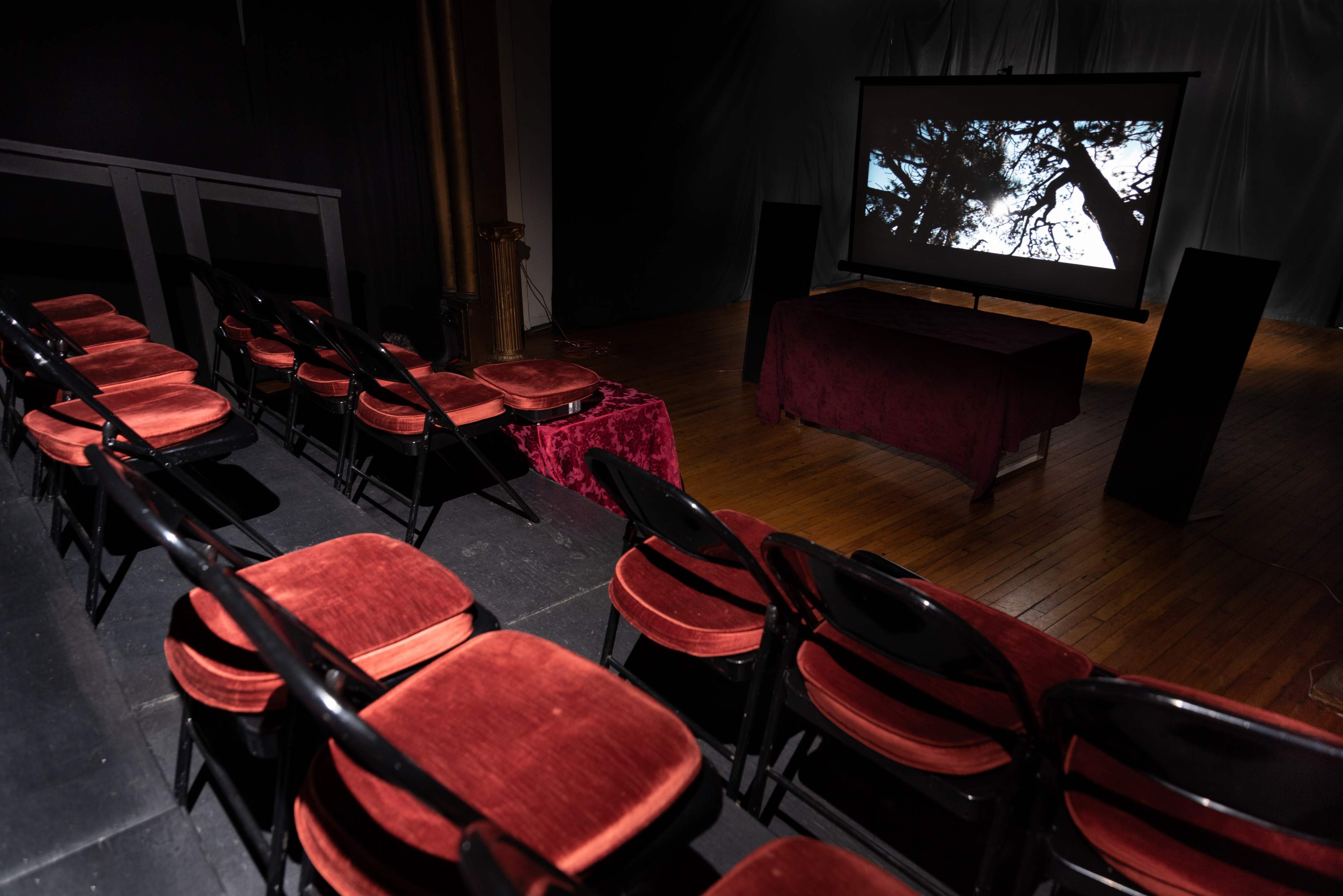 A dimly lit theater features red fabric-covered chairs arranged in rows facing a screen displaying a nature scene.