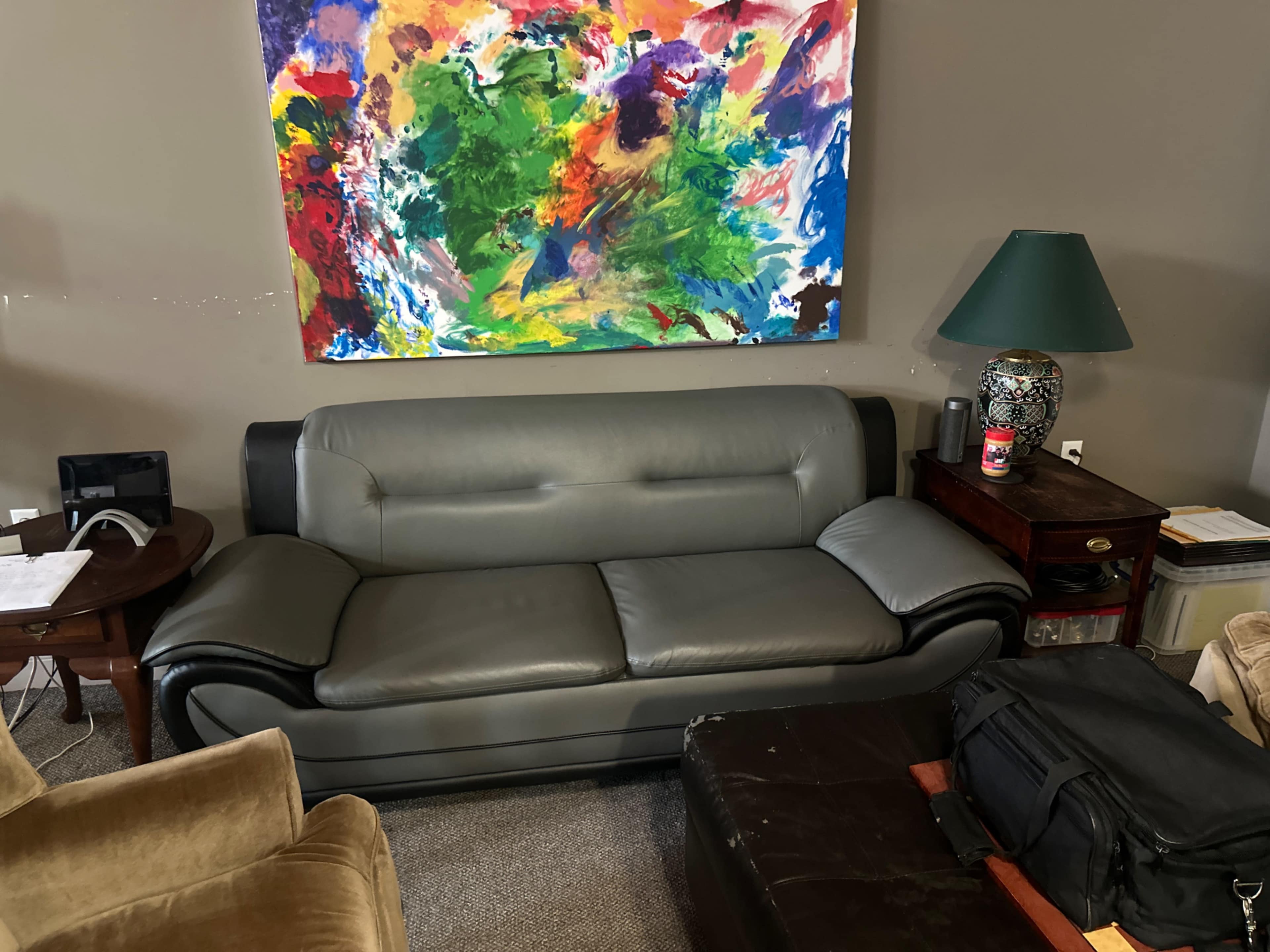 The image shows a gray leather sofa in a living room setting, accompanied by a colorful abstract painting on the wall and a green lamp on a side table.