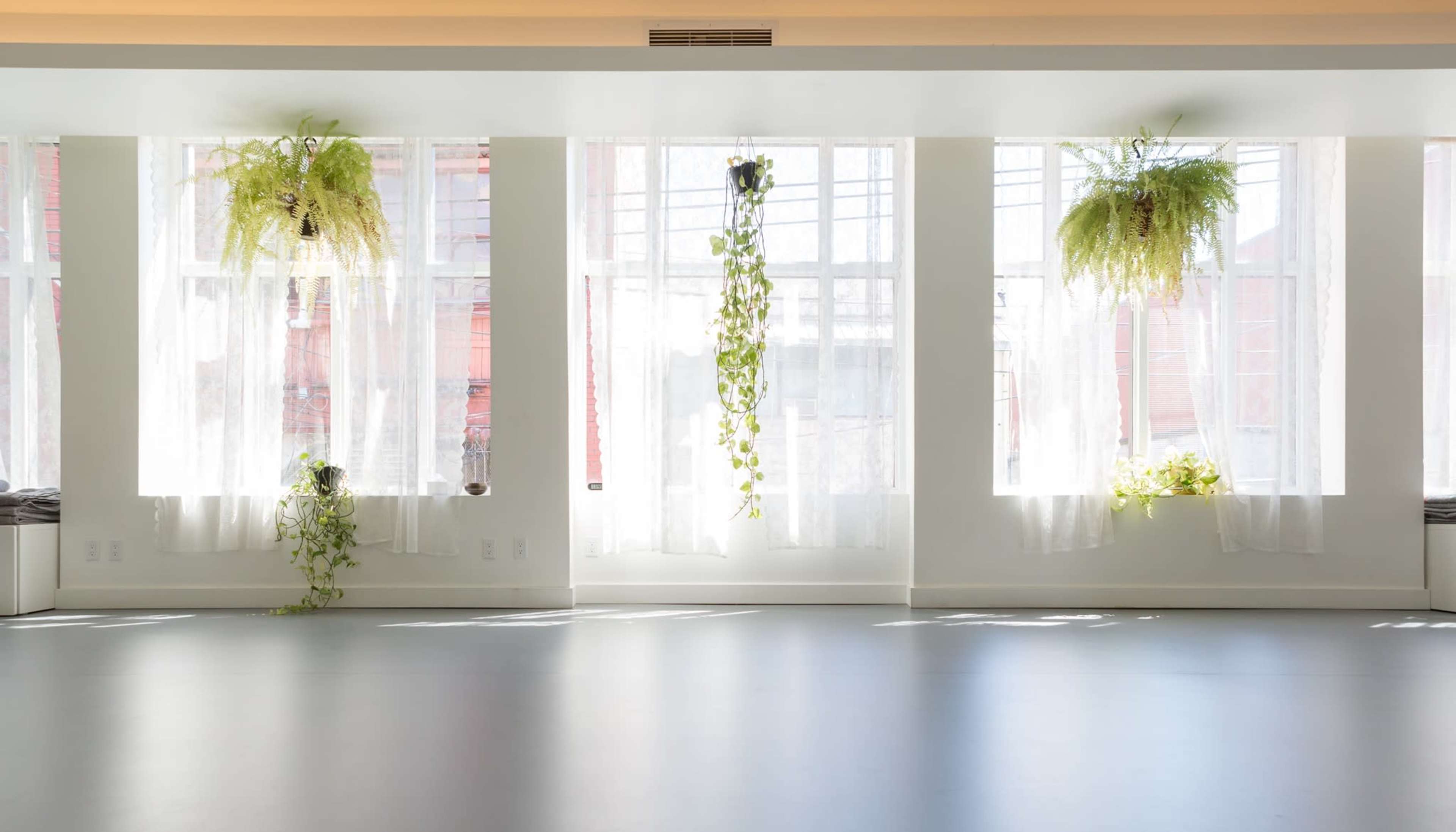A bright, airy room features large windows with sheer white curtains and hanging plants.