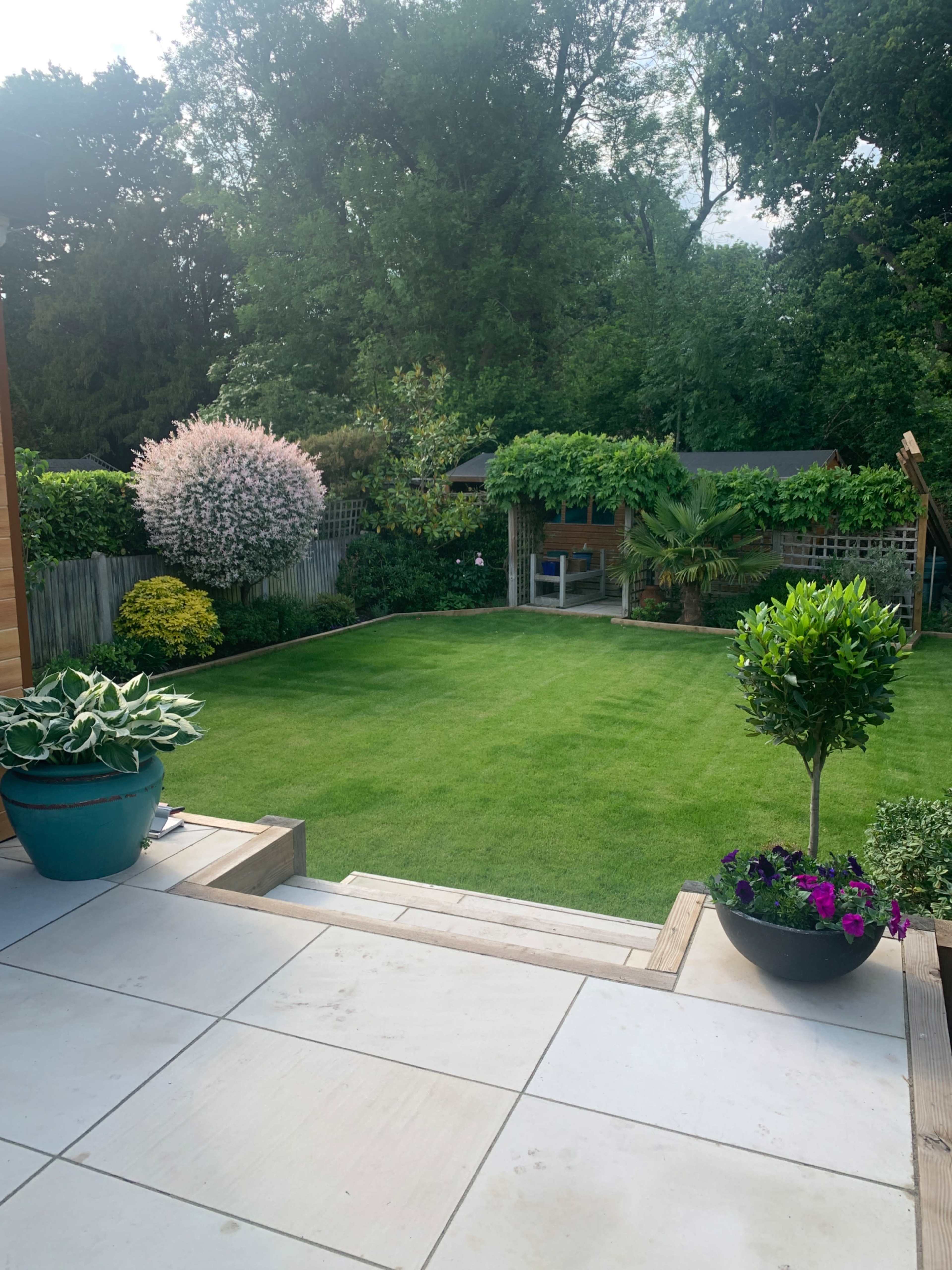 A well-manicured lawn surrounded by various plants and trees, with a patio area in the foreground.