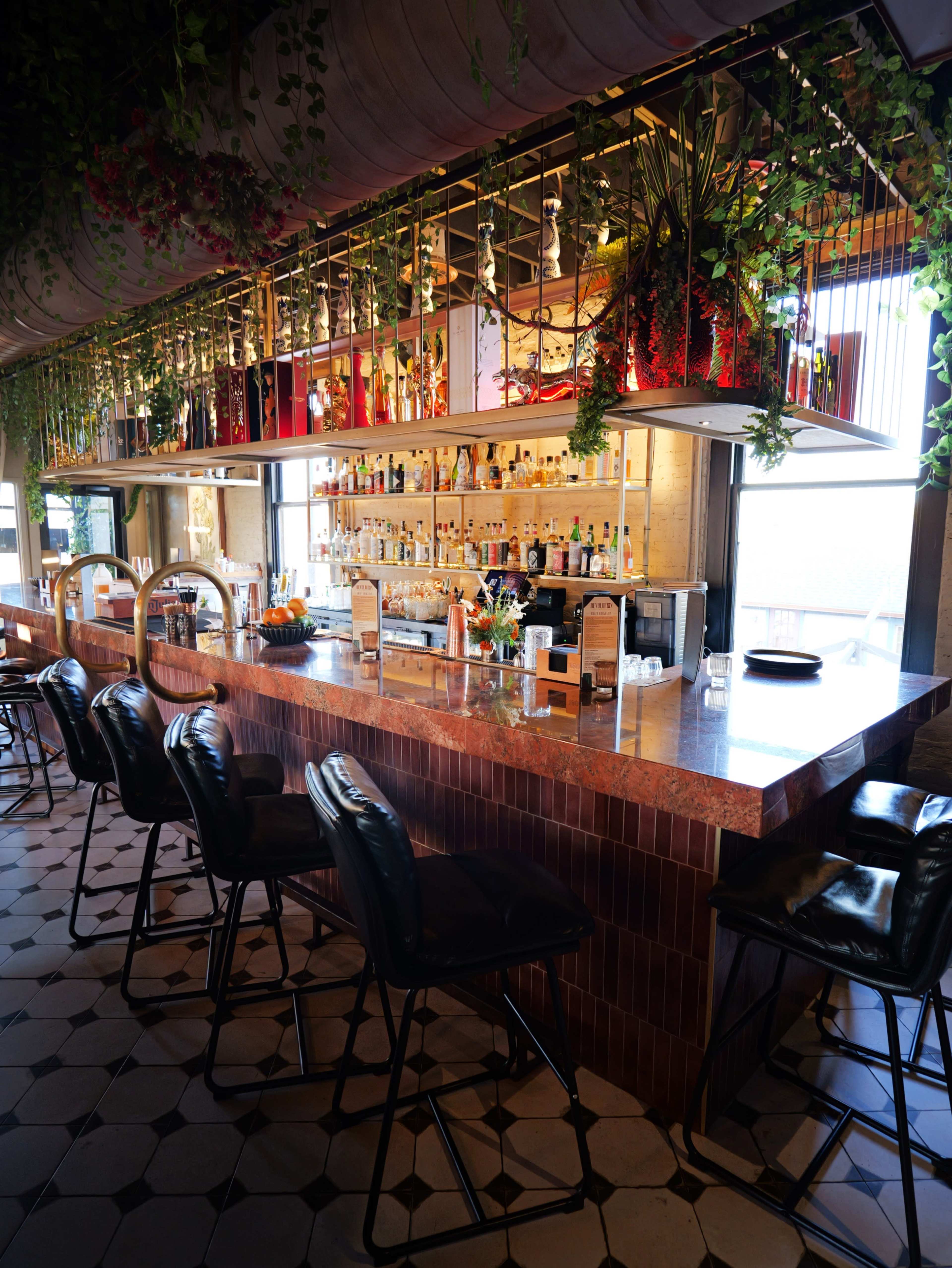 The image shows a bar area with a marble countertop, high stools, and shelves filled with various bottles, surrounded by decorative plants.