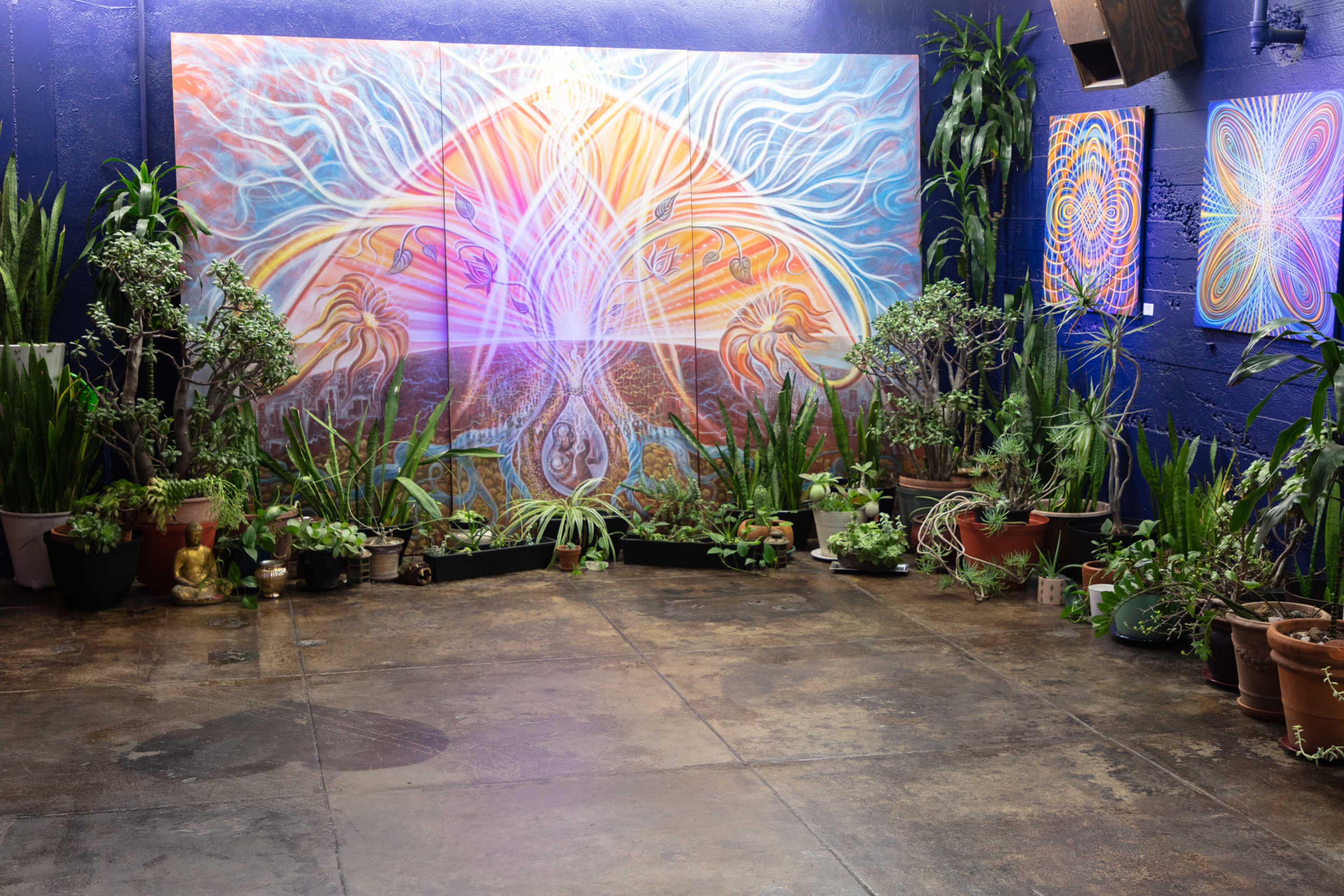 A colorful mural with intricate designs on a wall, surrounded by various potted plants in an indoor space.