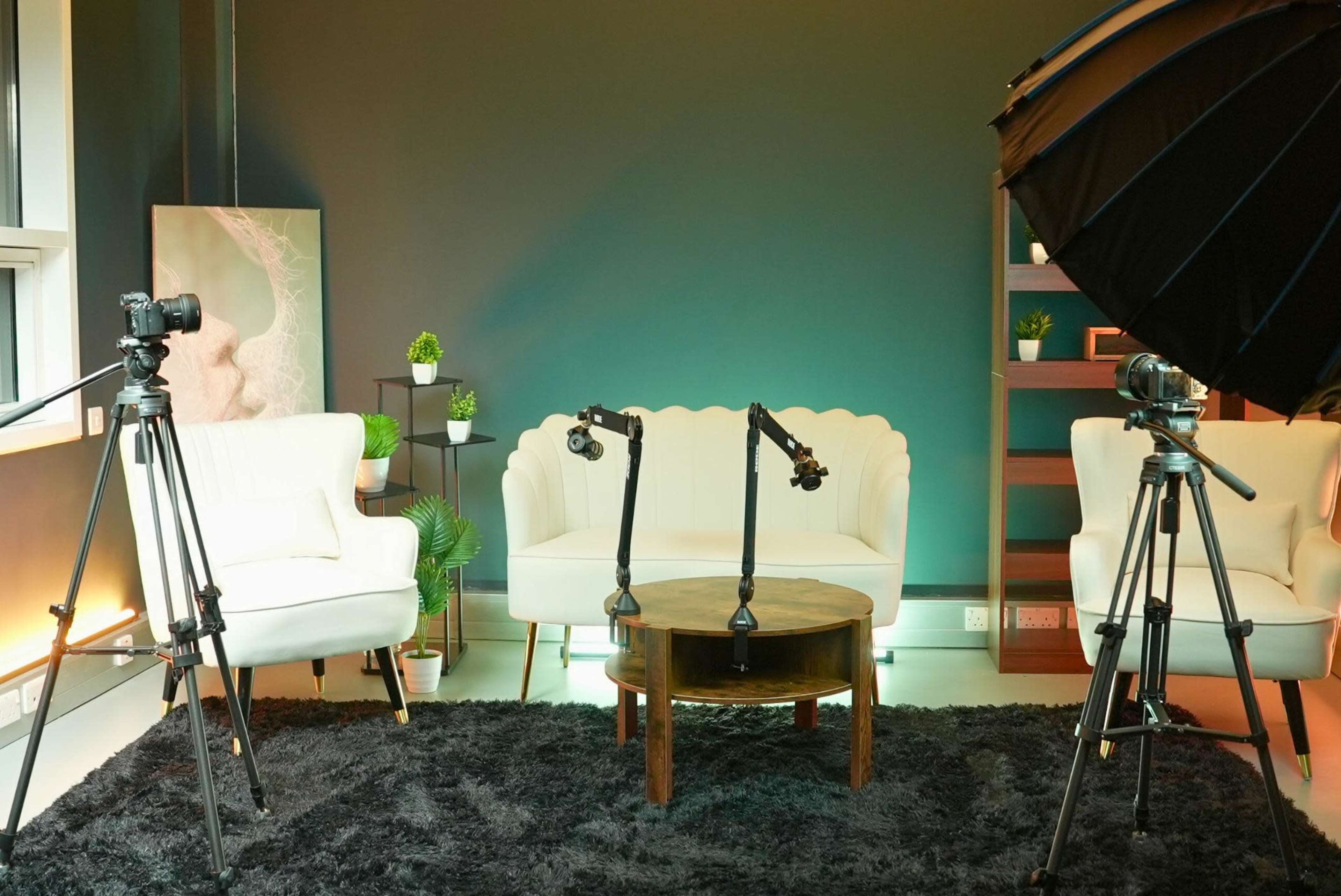 The image shows a modern studio setup with two white chairs, a round coffee table, and three cameras on tripods, surrounded by decorative plants and a soft black rug.