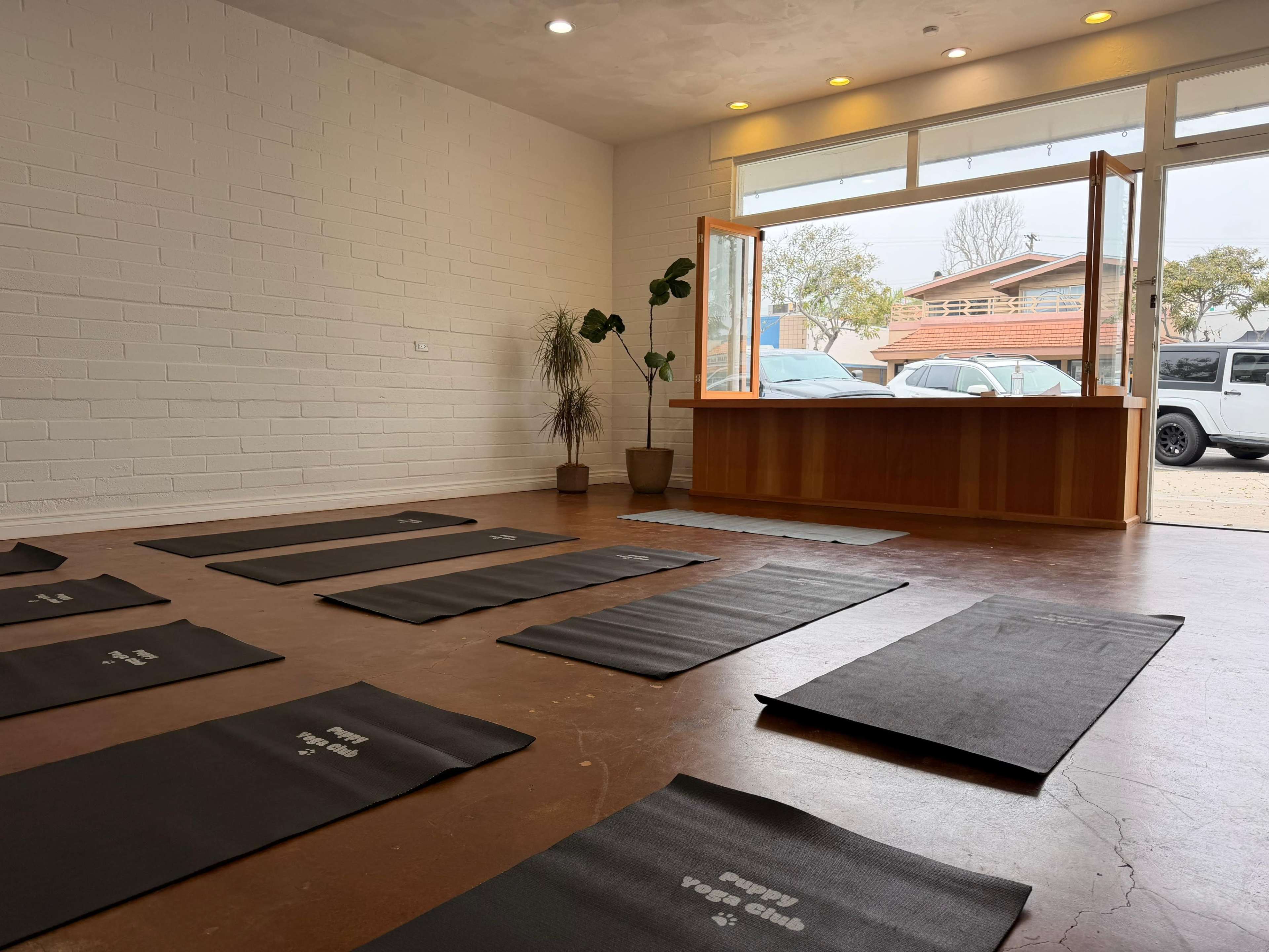 The image shows a yoga studio with several black mats arranged on the wooden floor and a large window letting in natural light.