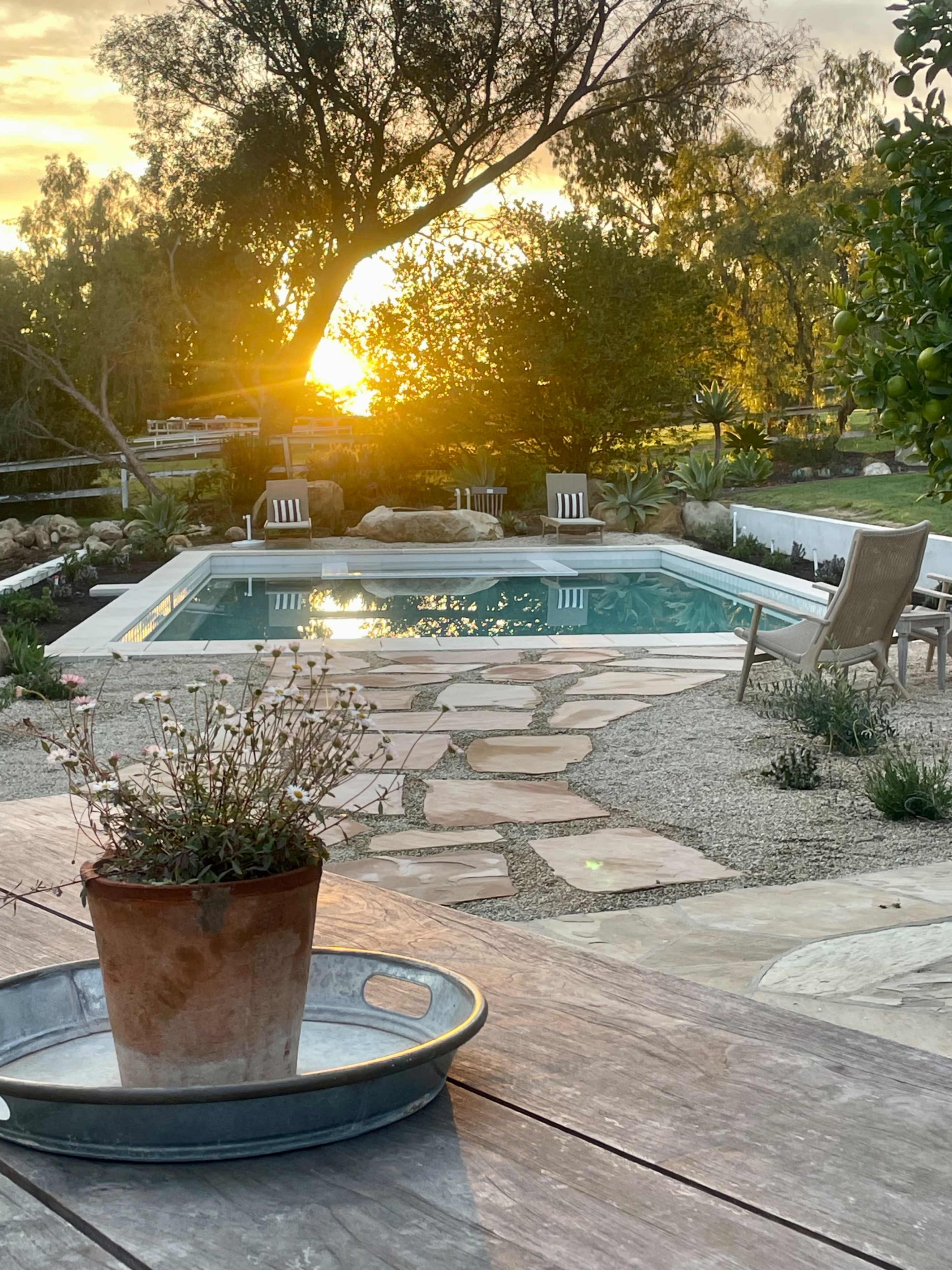 A sunset reflects on a clear pool surrounded by stone pathways and potted plants in a landscaped garden.