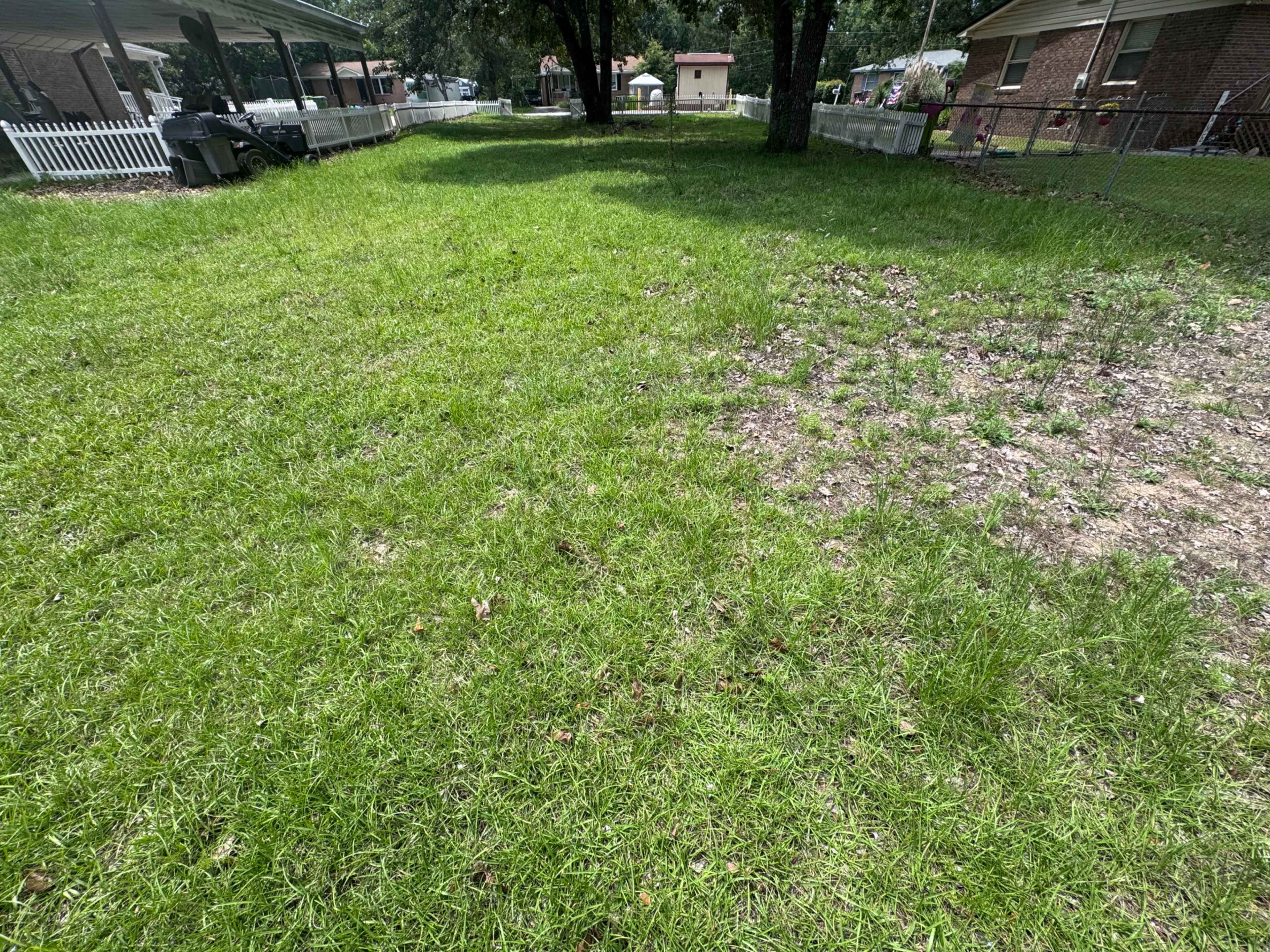 The image shows a grassy backyard divided into two sections: one with lush green grass and the other barren and dry.