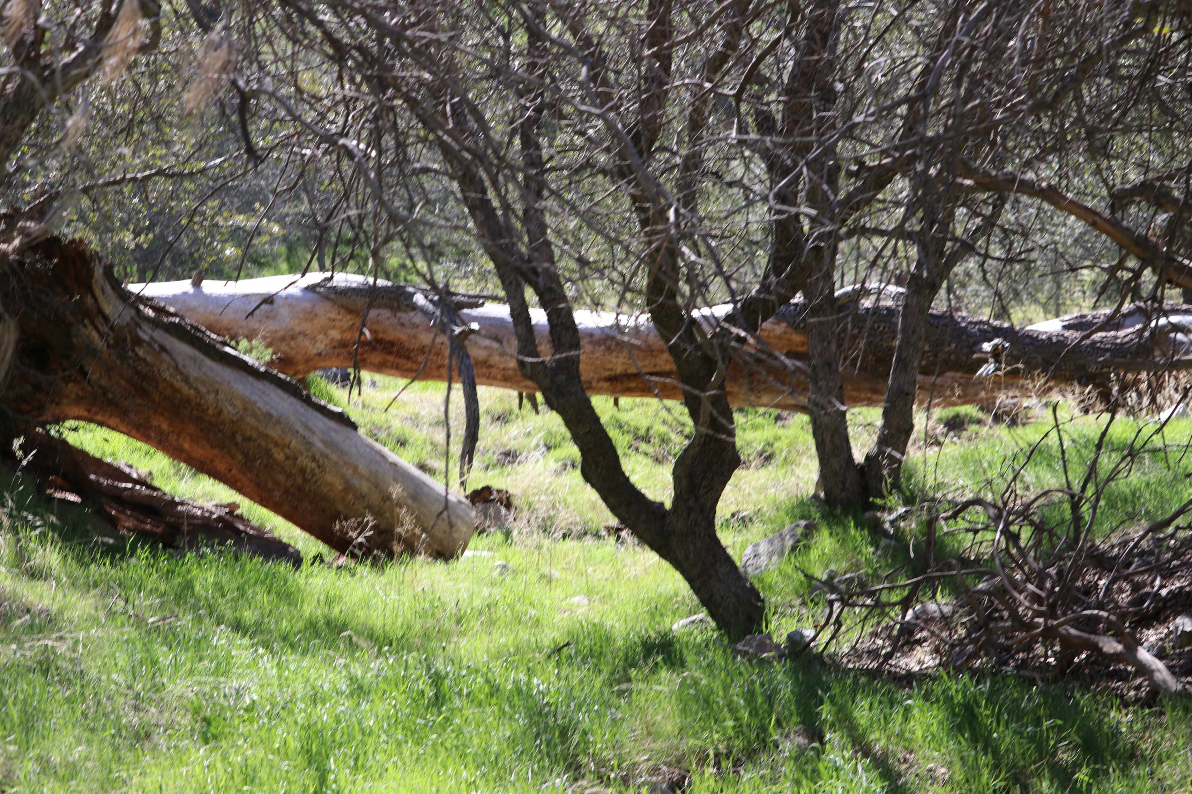 50-Mile Mountain Views On Large Acreage Ranch, looks like Montana/Colorado Image in , Lancaster, CA