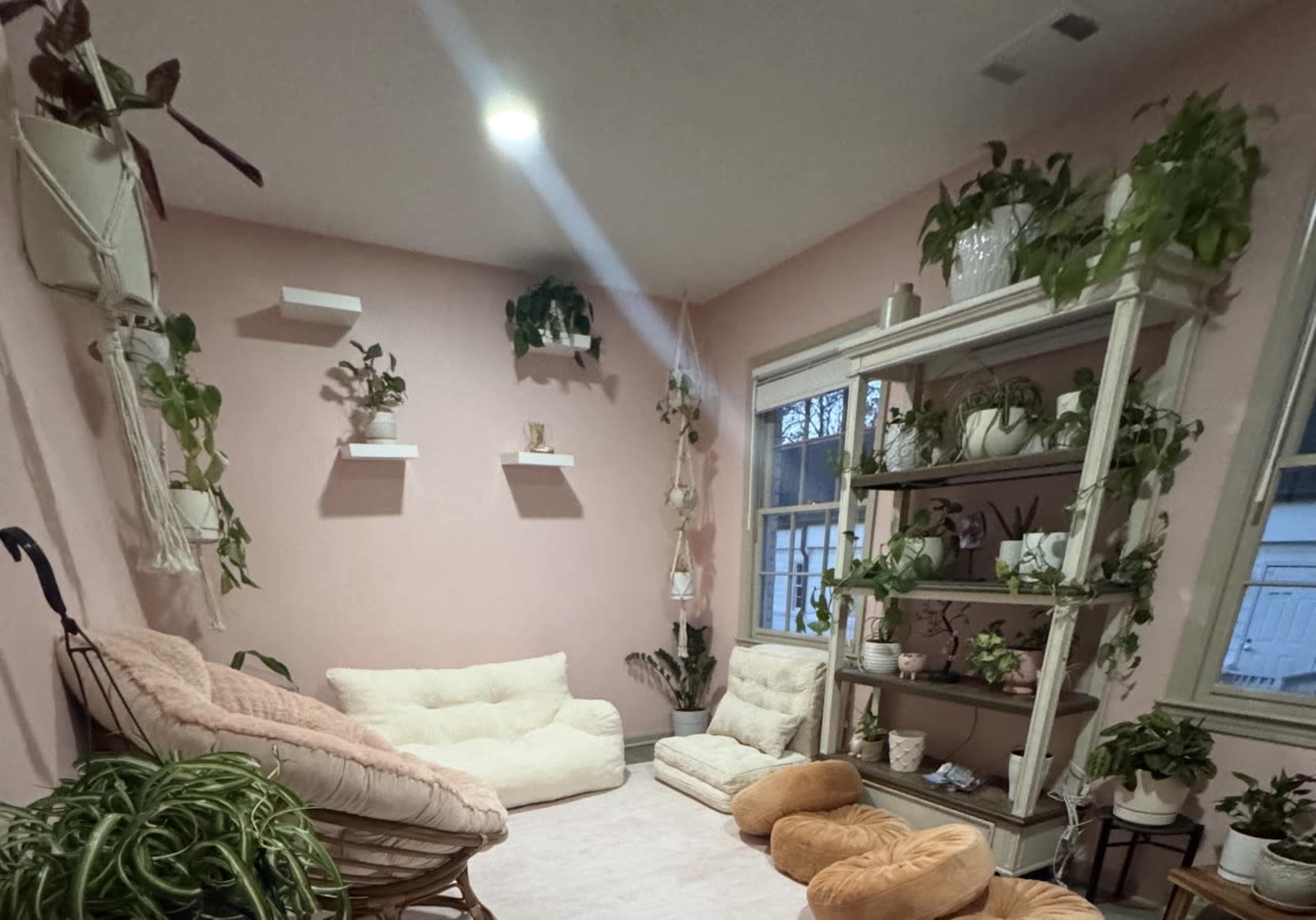 A cozy room with pink walls features soft seating, a variety of houseplants on shelves, and a decorative shelving unit filled with more plants.