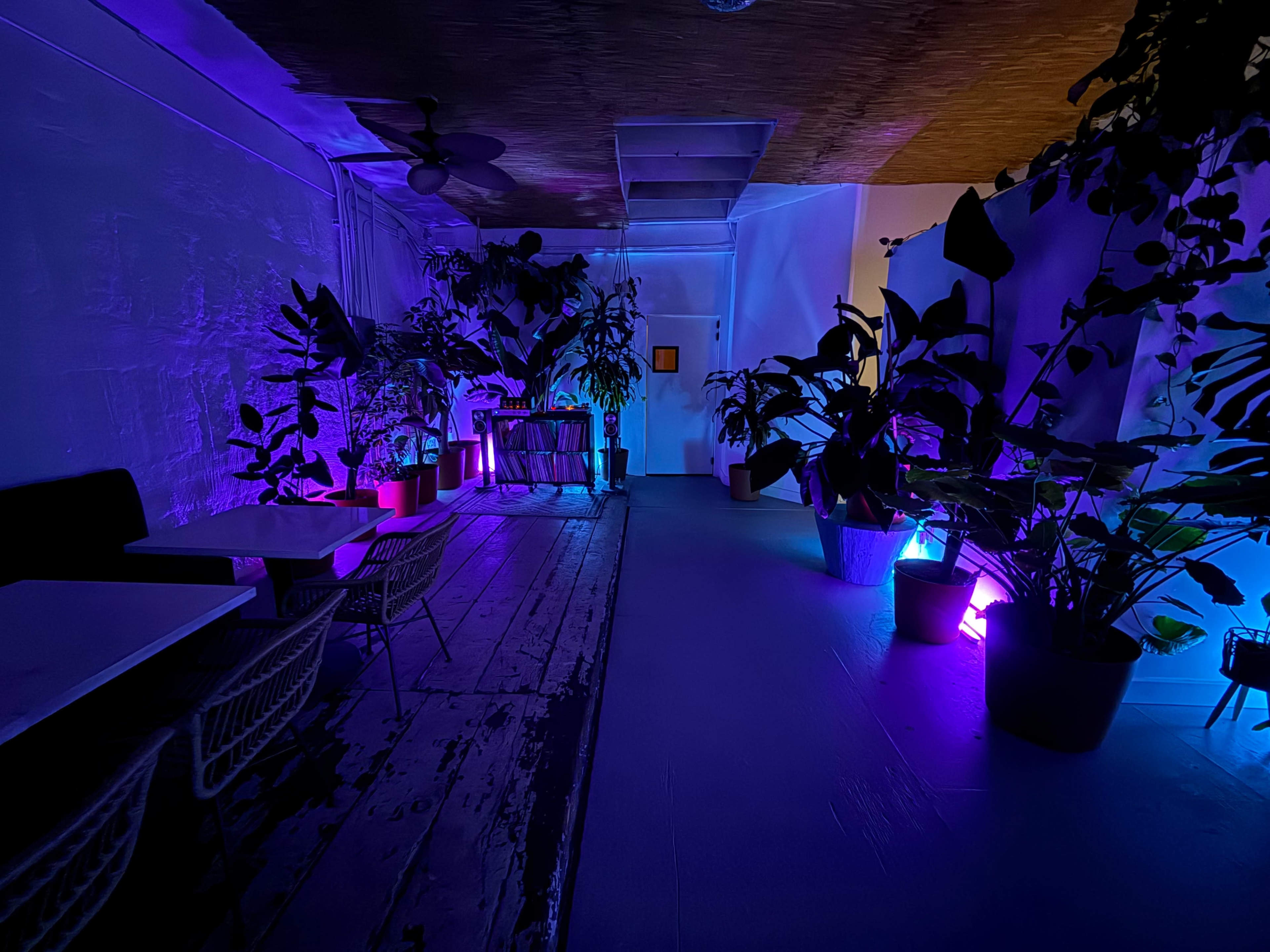 The image shows a dimly lit corridor filled with potted plants, illuminated by purple and blue lights, with tables and chairs visible on one side.