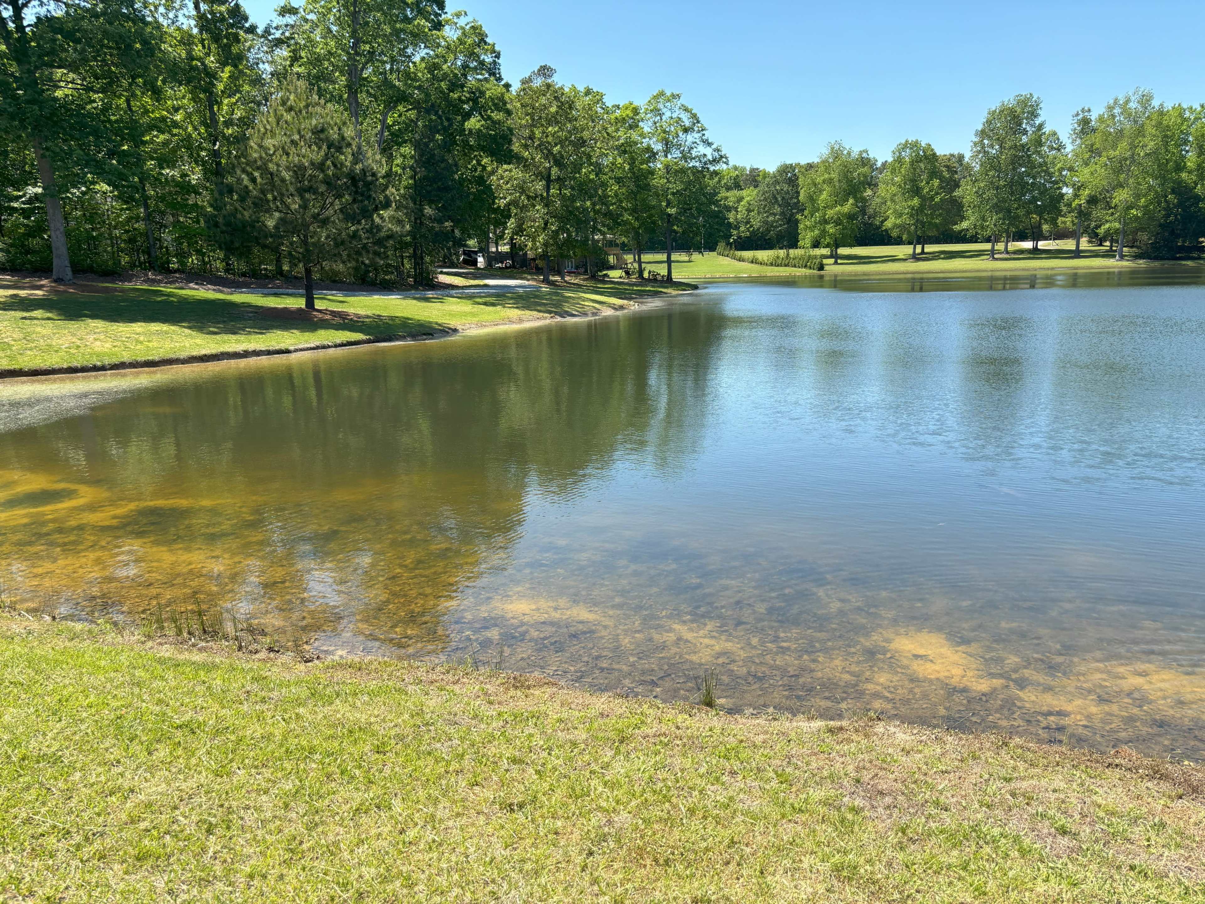 Elysian Oasis: Versatile Estate for Corporate Retreats, Events, and Gatherings Image in , Climax, NC