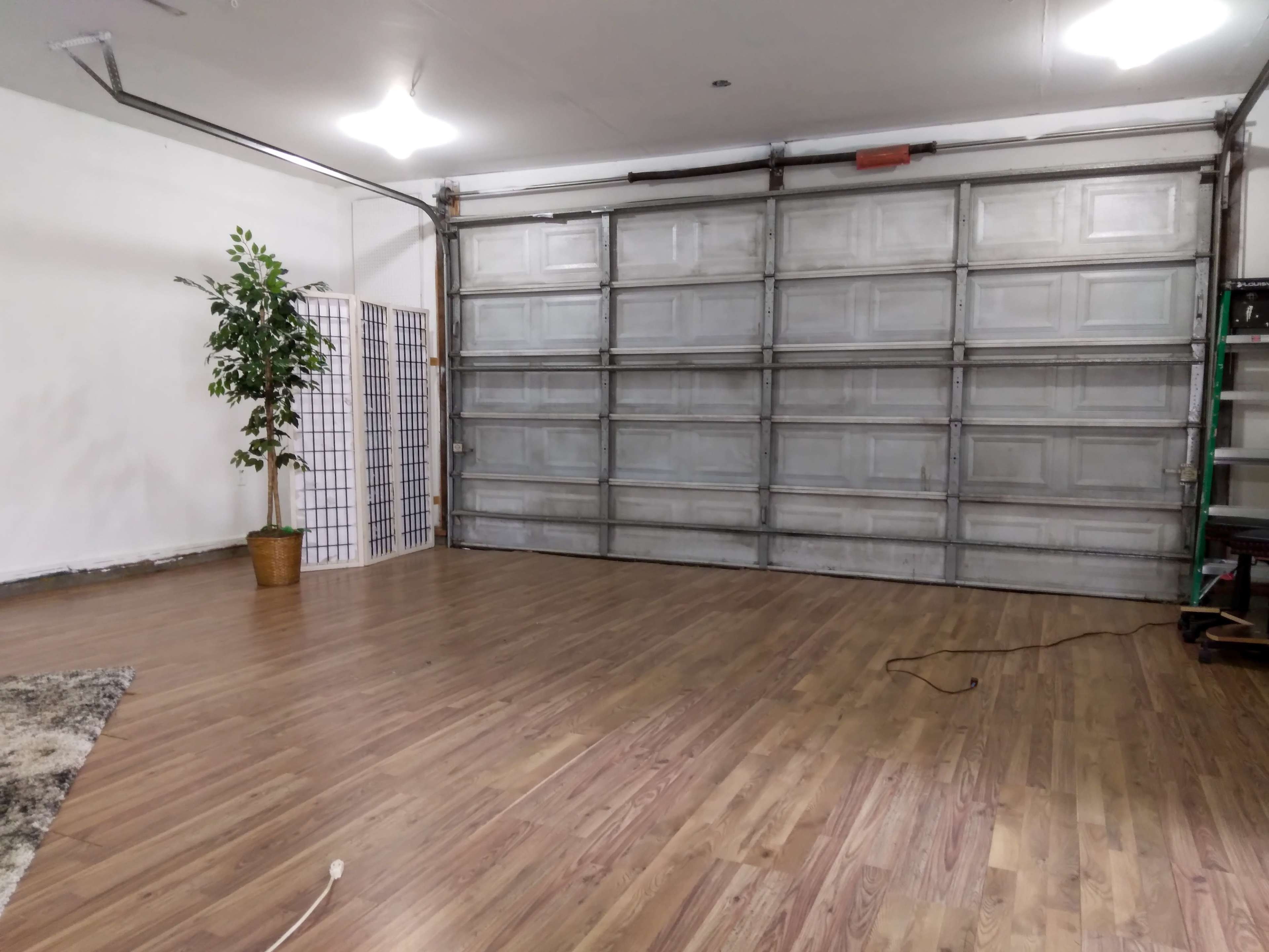 An empty garage features a large metal door, a potted plant in the corner, and wooden flooring.