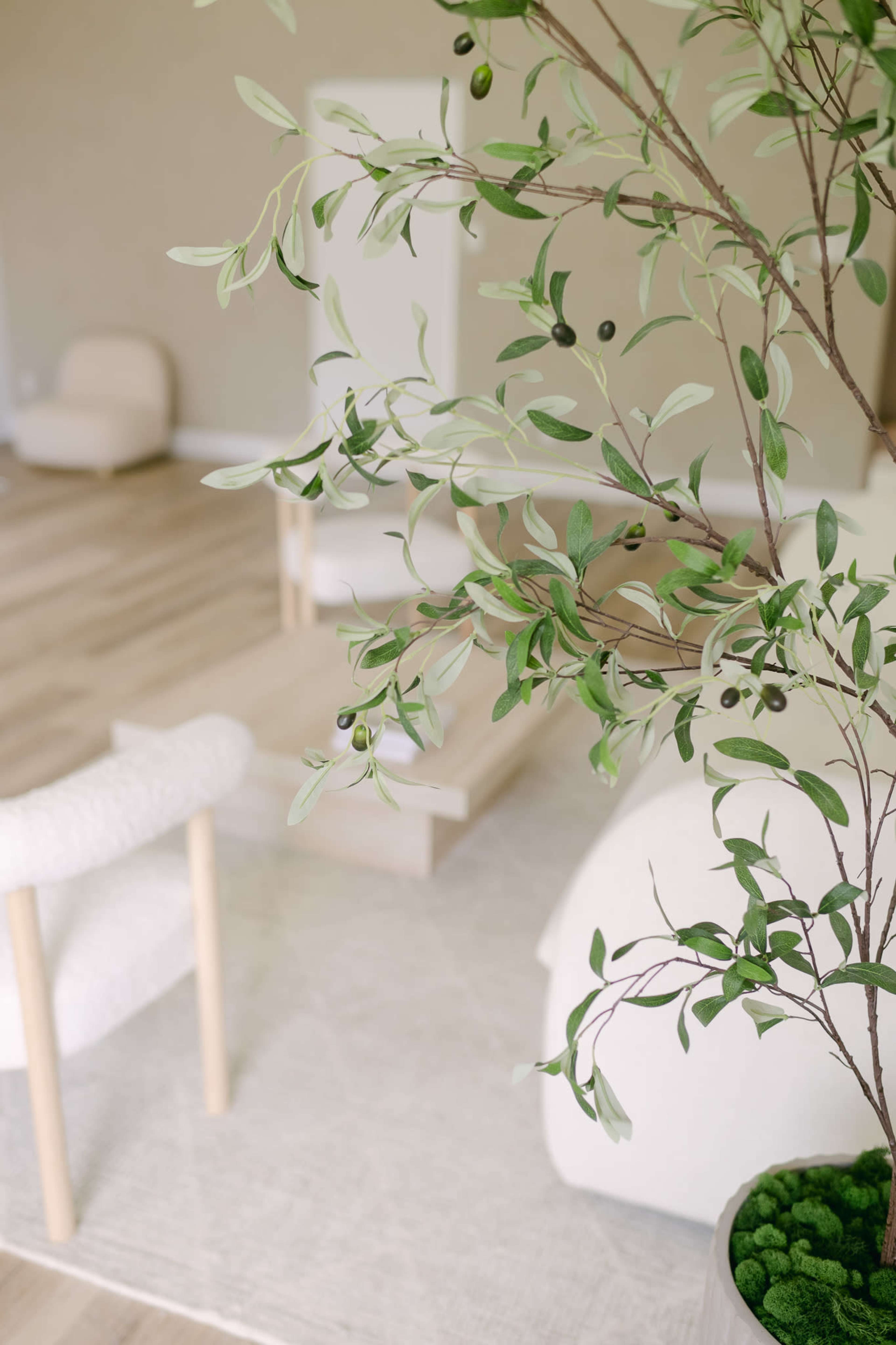 Bright Creative Studio with Styled Room & Cyc Wall Image in Burlington, Burlington, ON