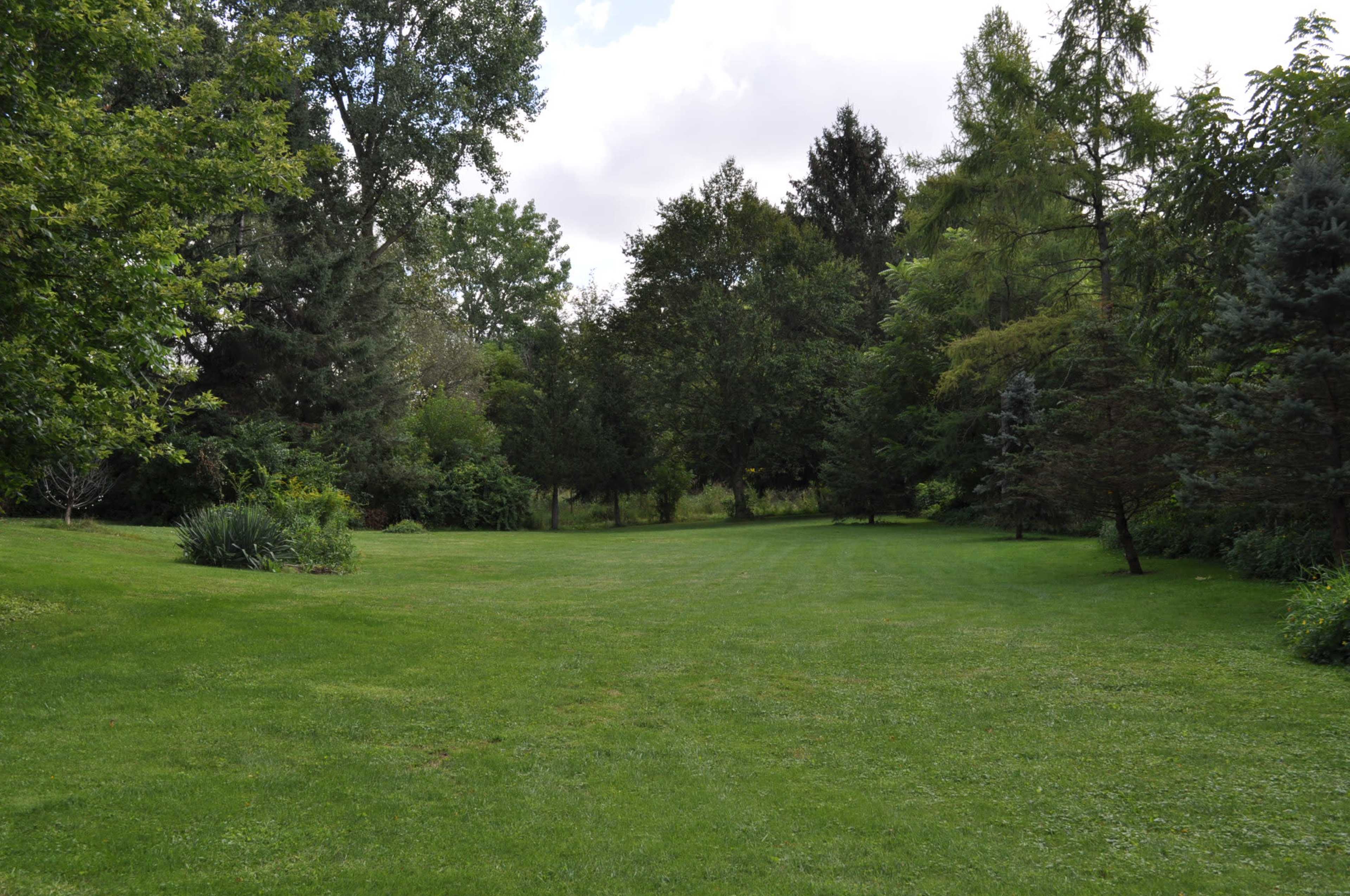 A grassy area is bordered by trees and shrubs under a cloudy sky.