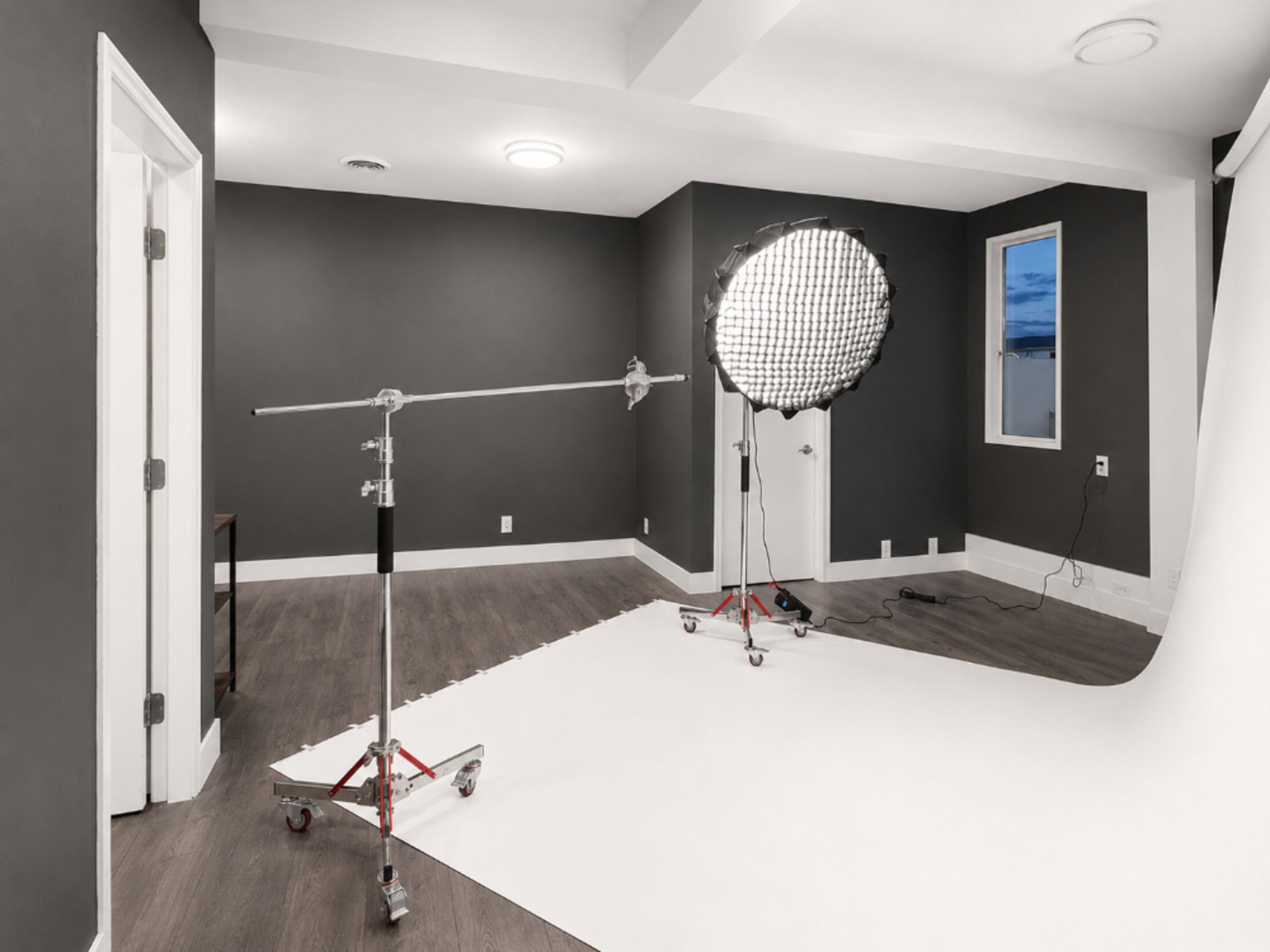 Seamless Backdrops, Lights, Tripods and Stands