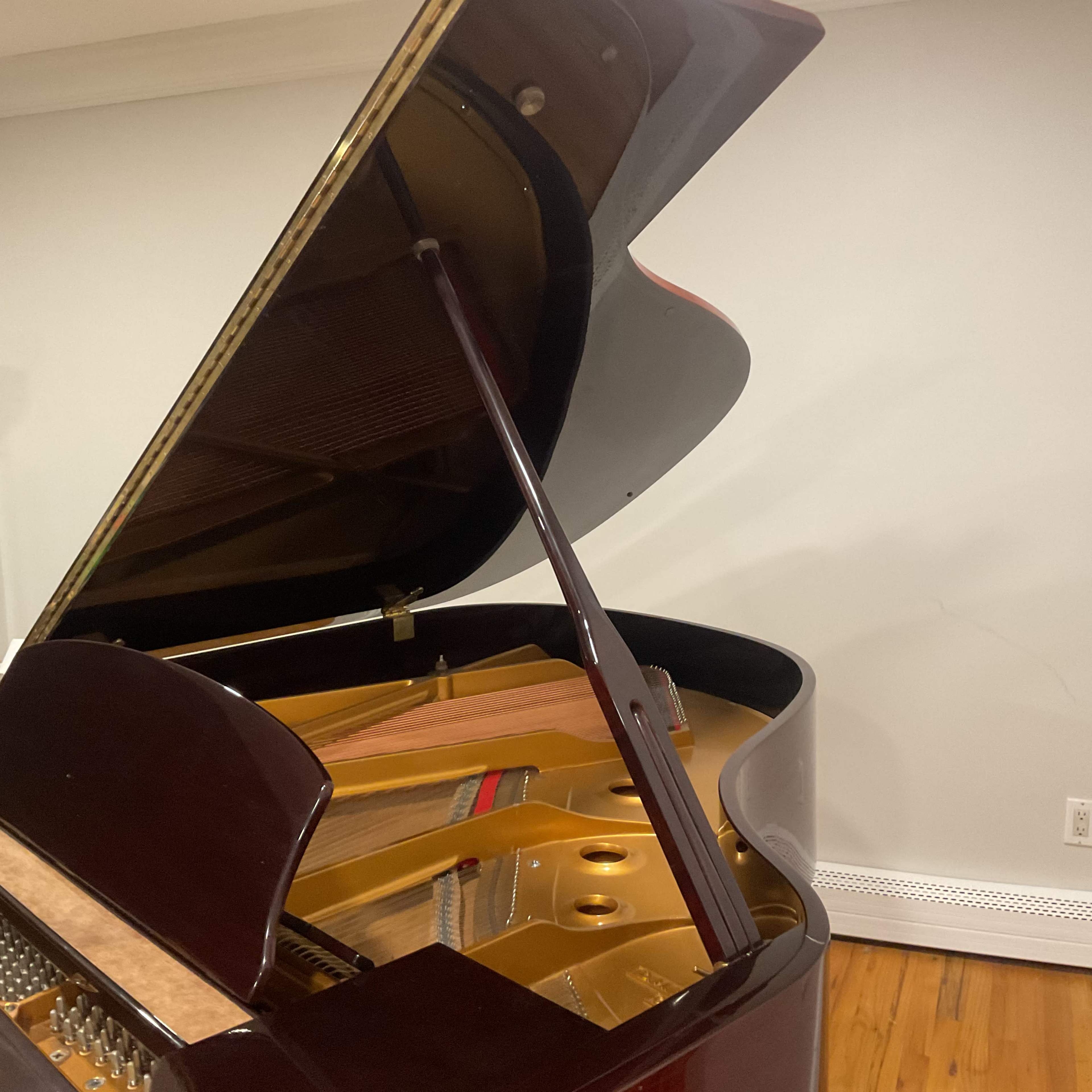 The image shows an open grand piano revealing its interior components, including strings and hammers, set against a plain wall.