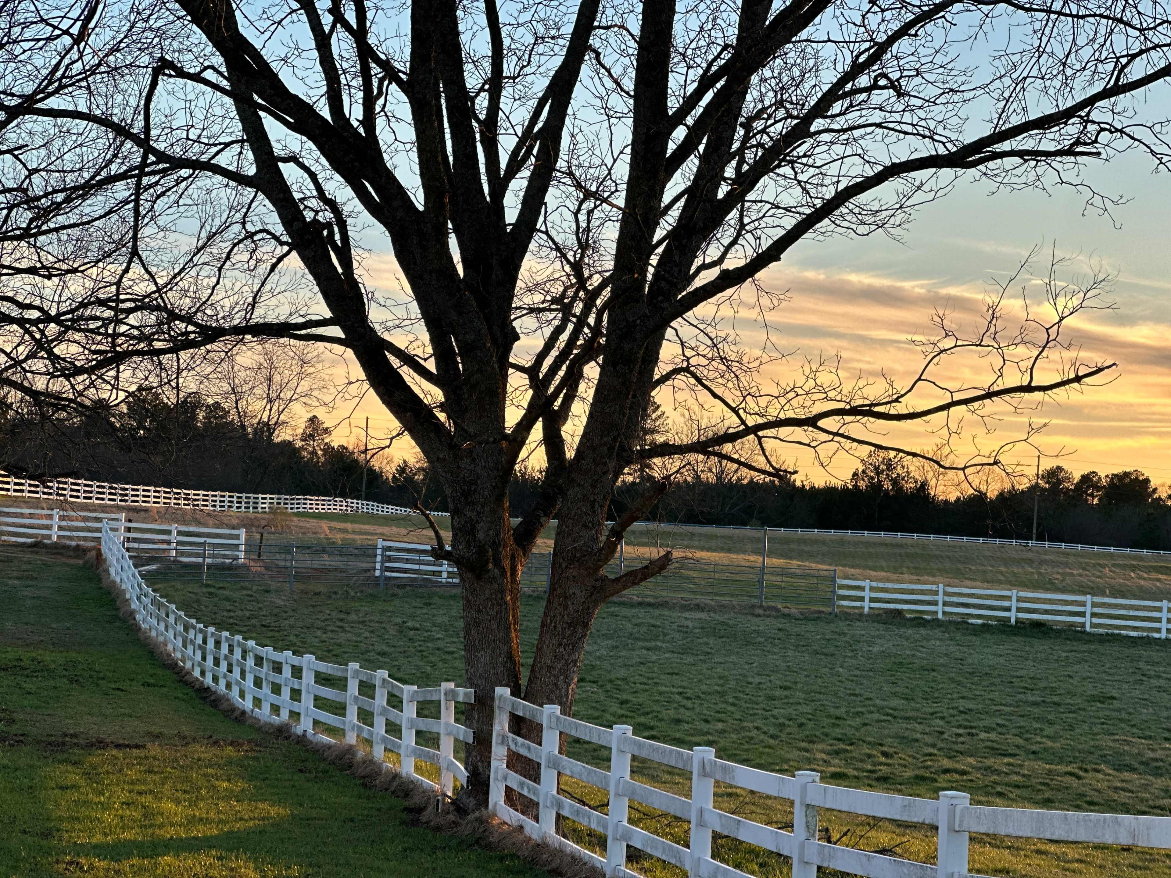 Capture timeless moments on a scenic farm and stable with natural open spaces, paths, mature trees, and sunsets Image in , Winder, GA