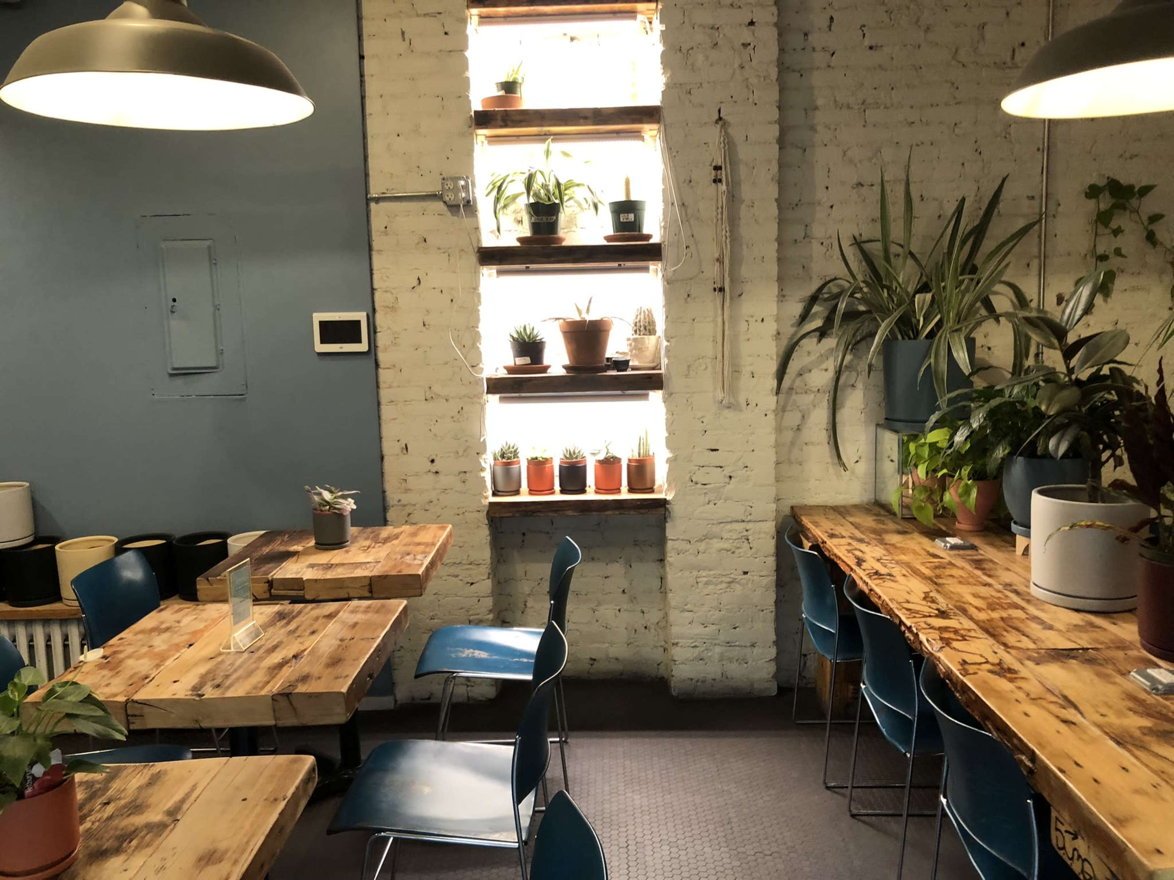 Cozy Brooklyn Cafe. Studded with Plants. Image in Carroll Gardens, Brooklyn, NY