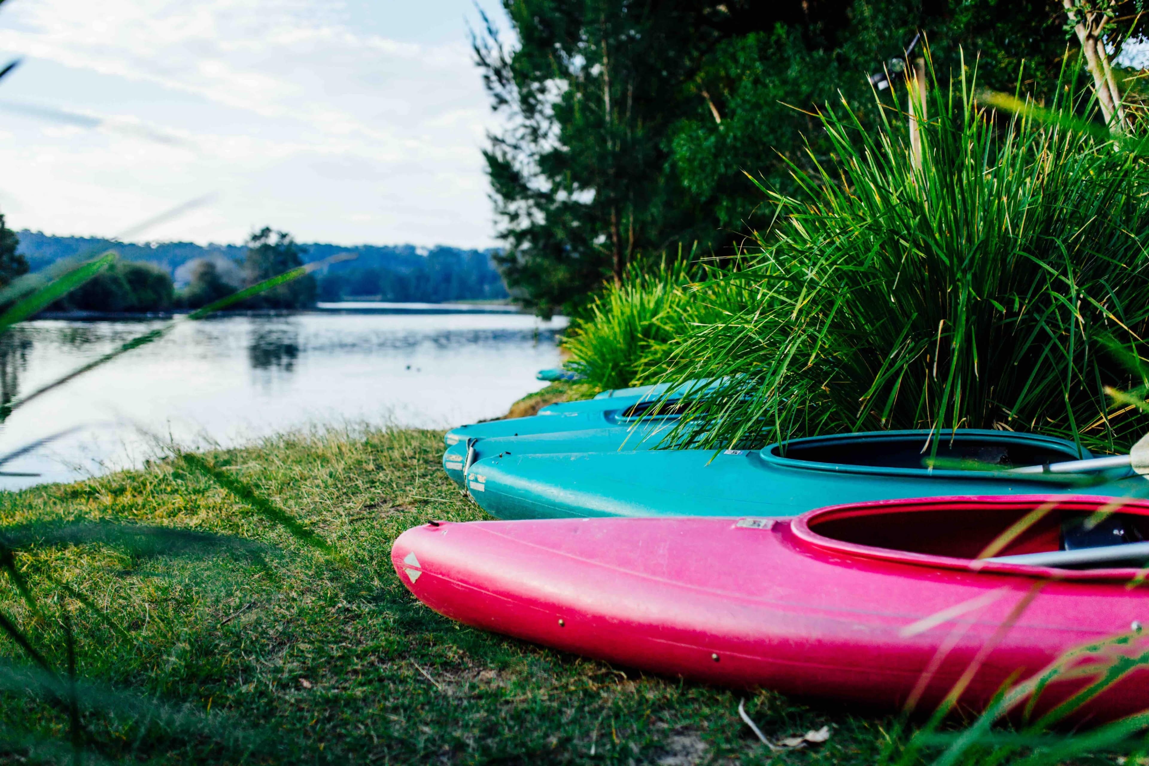 Colorful kayaks are lined up on the grass by a calm river surrounded by trees and tall grass.