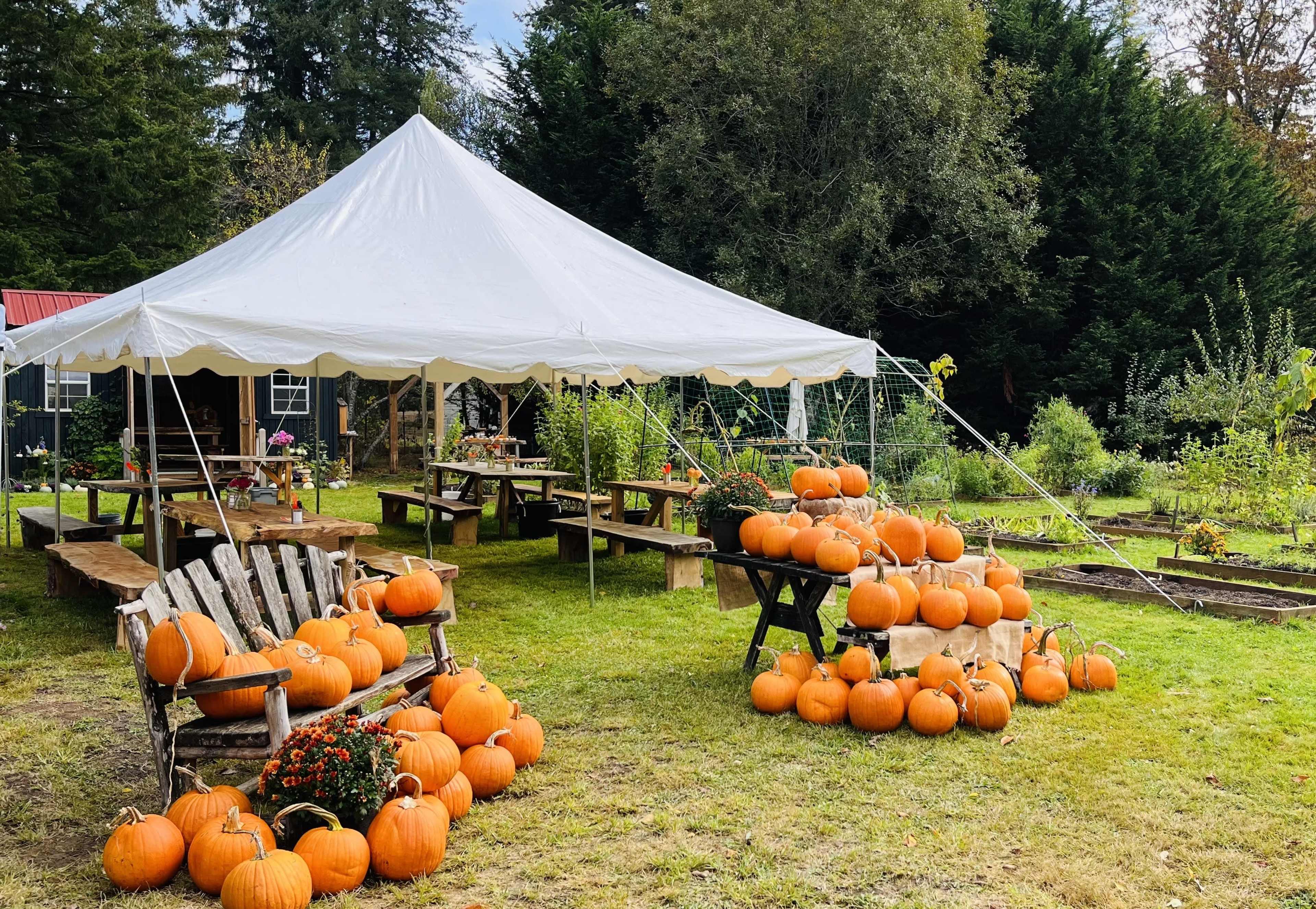 Forest to Farm and Garden Multi-Use Space Image in Bainbridge Island, Bainbridge Island, WA