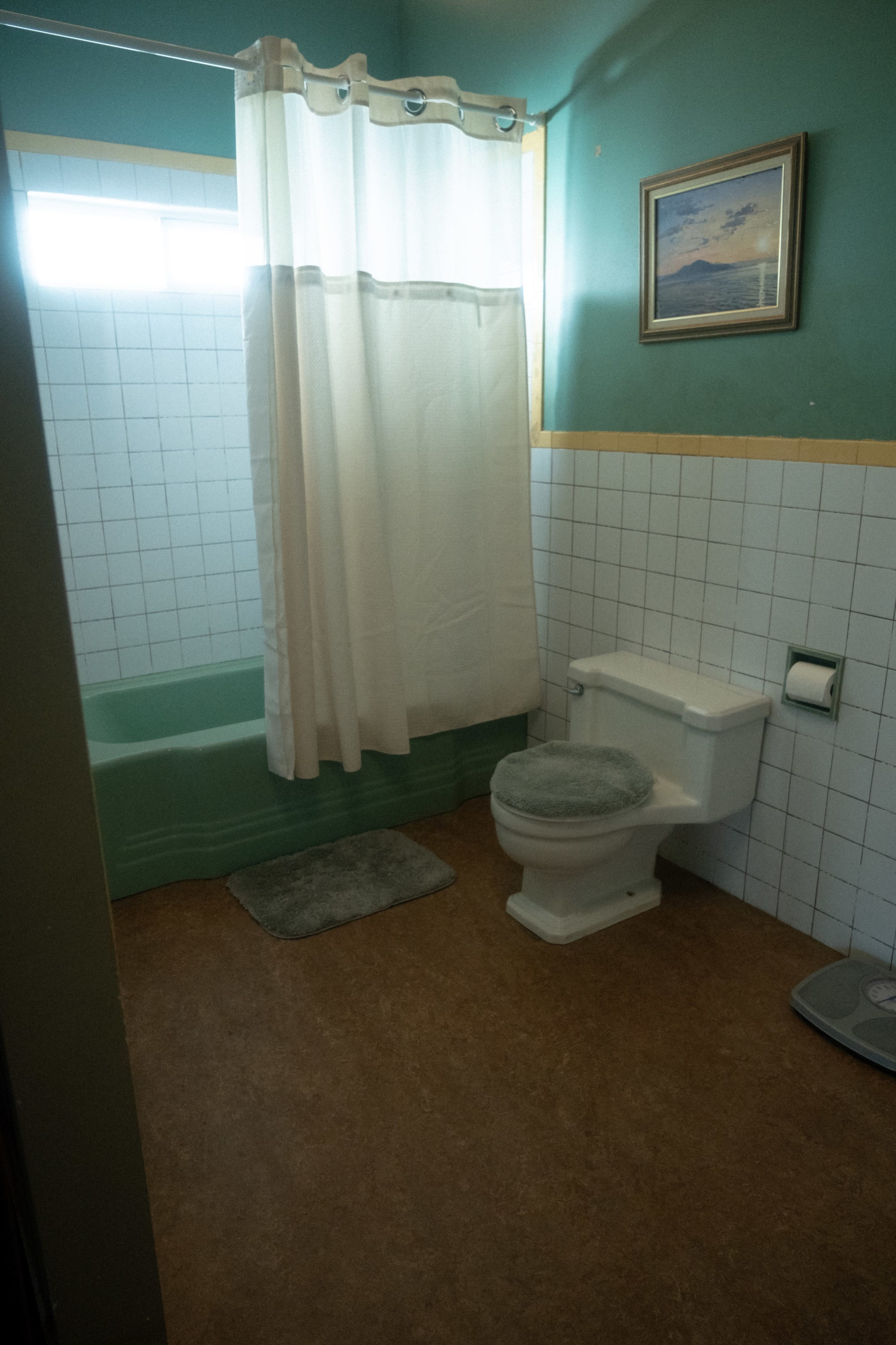 A bathroom featuring a bathtub with a shower curtain, a toilet, and a small rug on the floor.