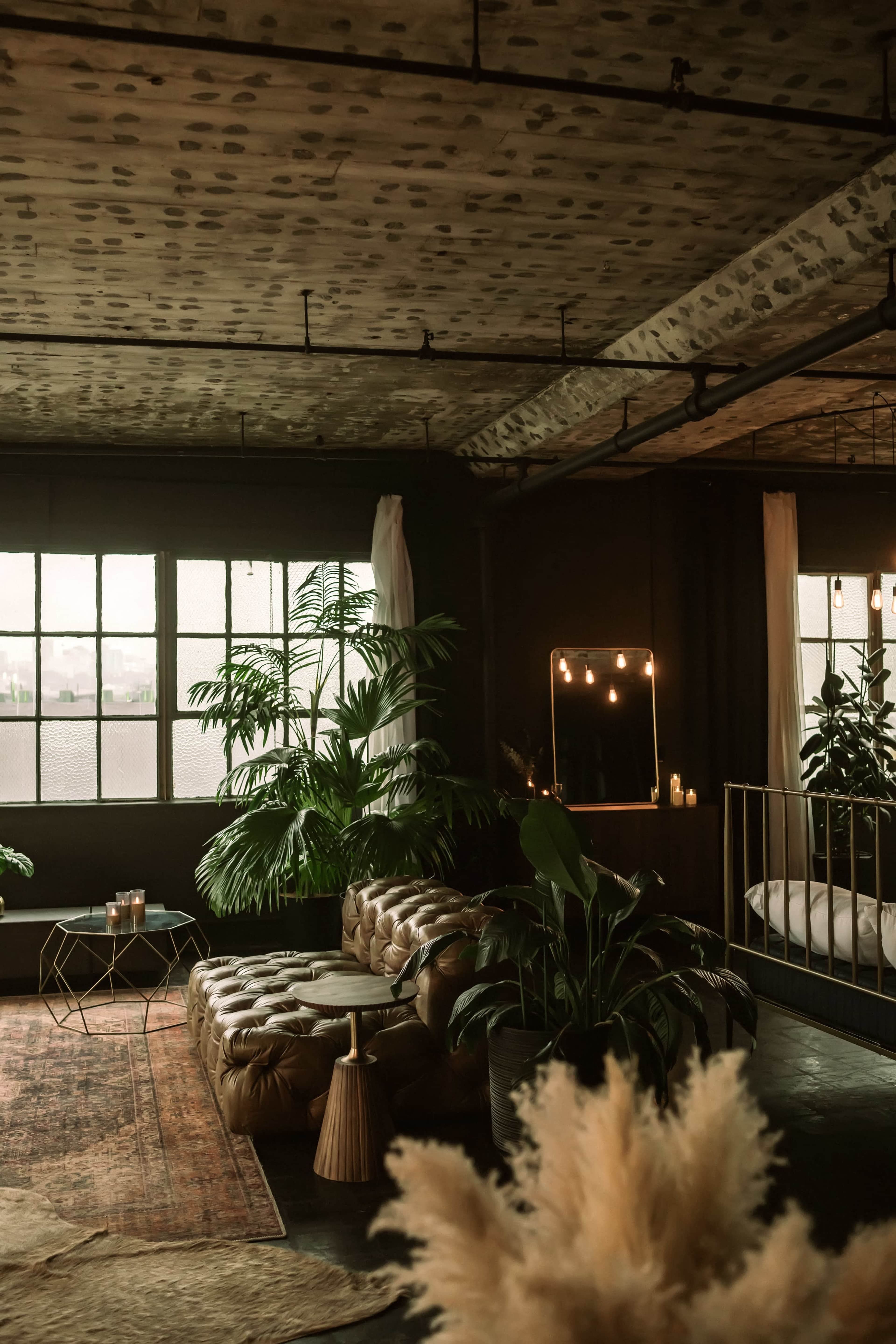 The image features a stylish interior space with a leather sofa, large plants, and warm lighting, creating a cozy atmosphere.