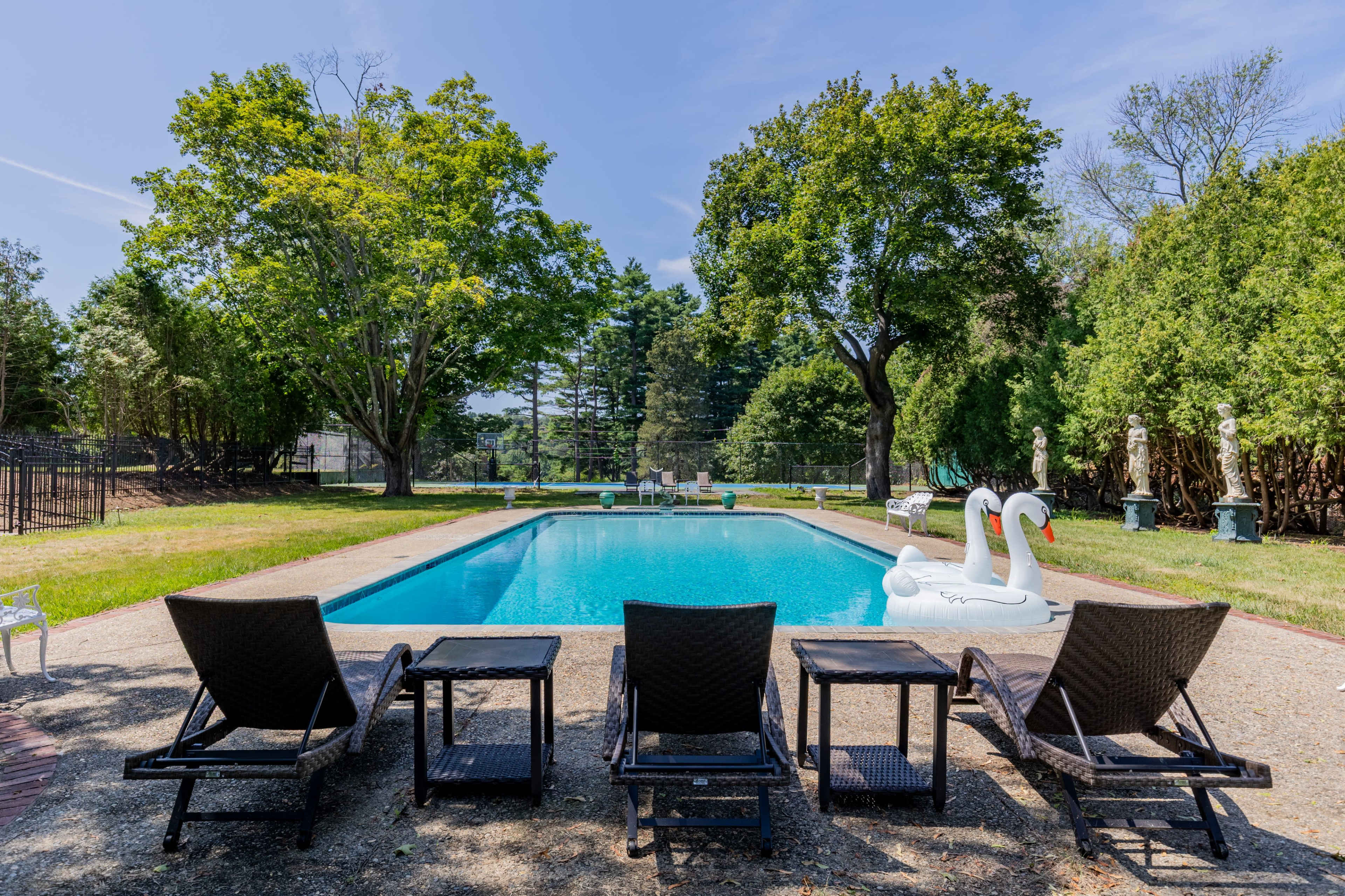The image shows a backyard swimming pool surrounded by lounge chairs, with two swan-shaped floats in the water and trees in the background.