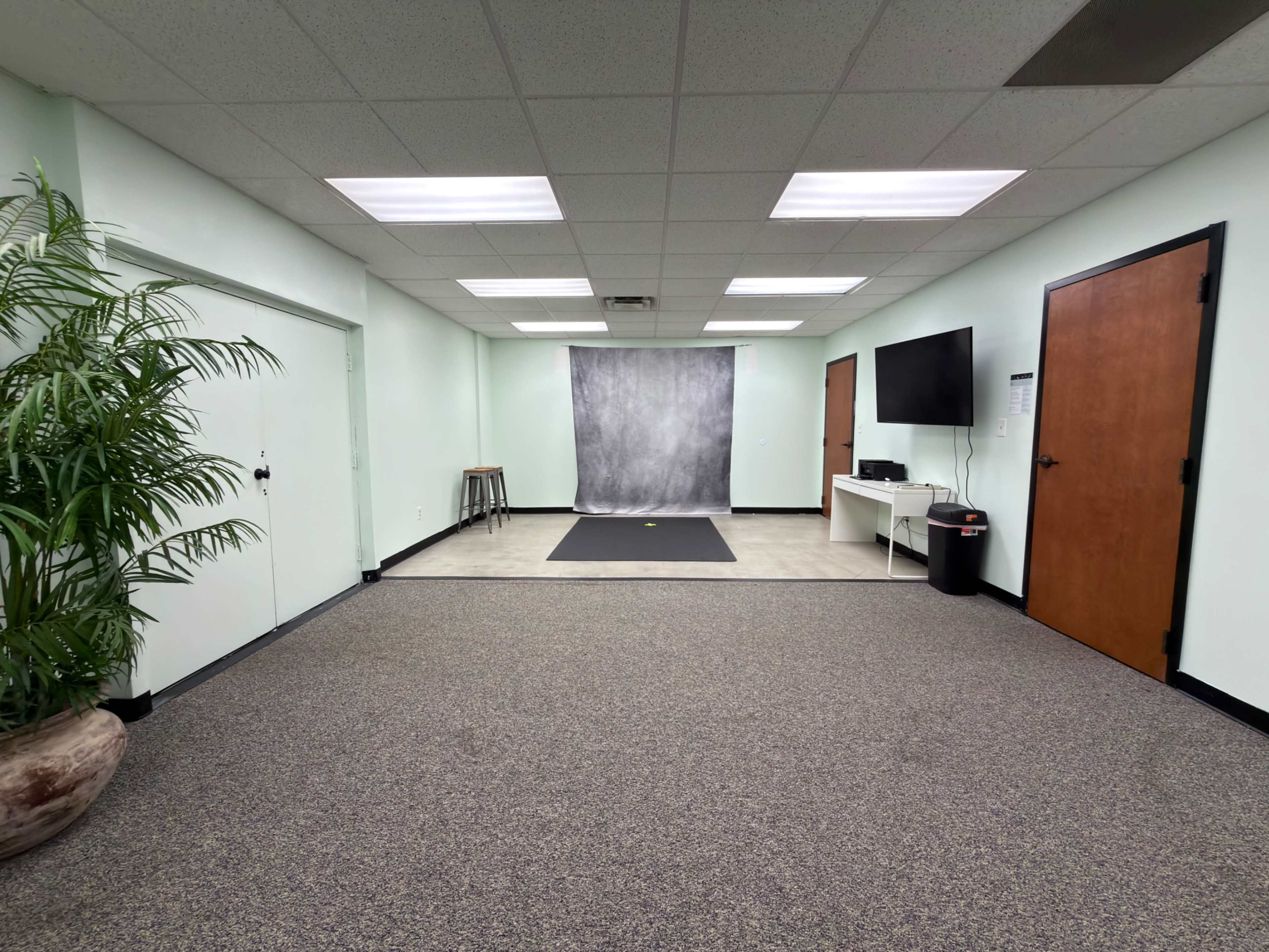 The image shows a spacious, well-lit room with pale green walls, a gray backdrop set up for photography, a television on the wall, and a potted plant in the corner.
