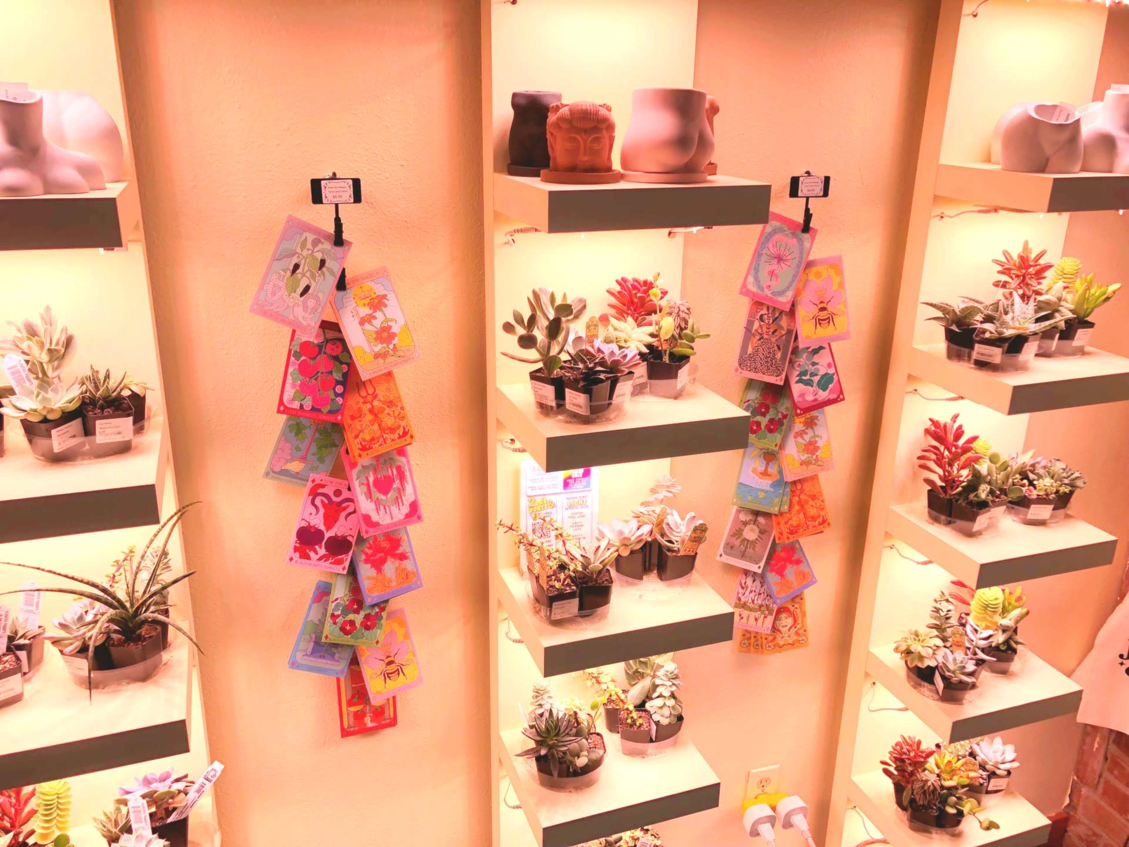 The image shows a display of various potted plants and colorful postcards arranged on lit shelves against a beige wall.