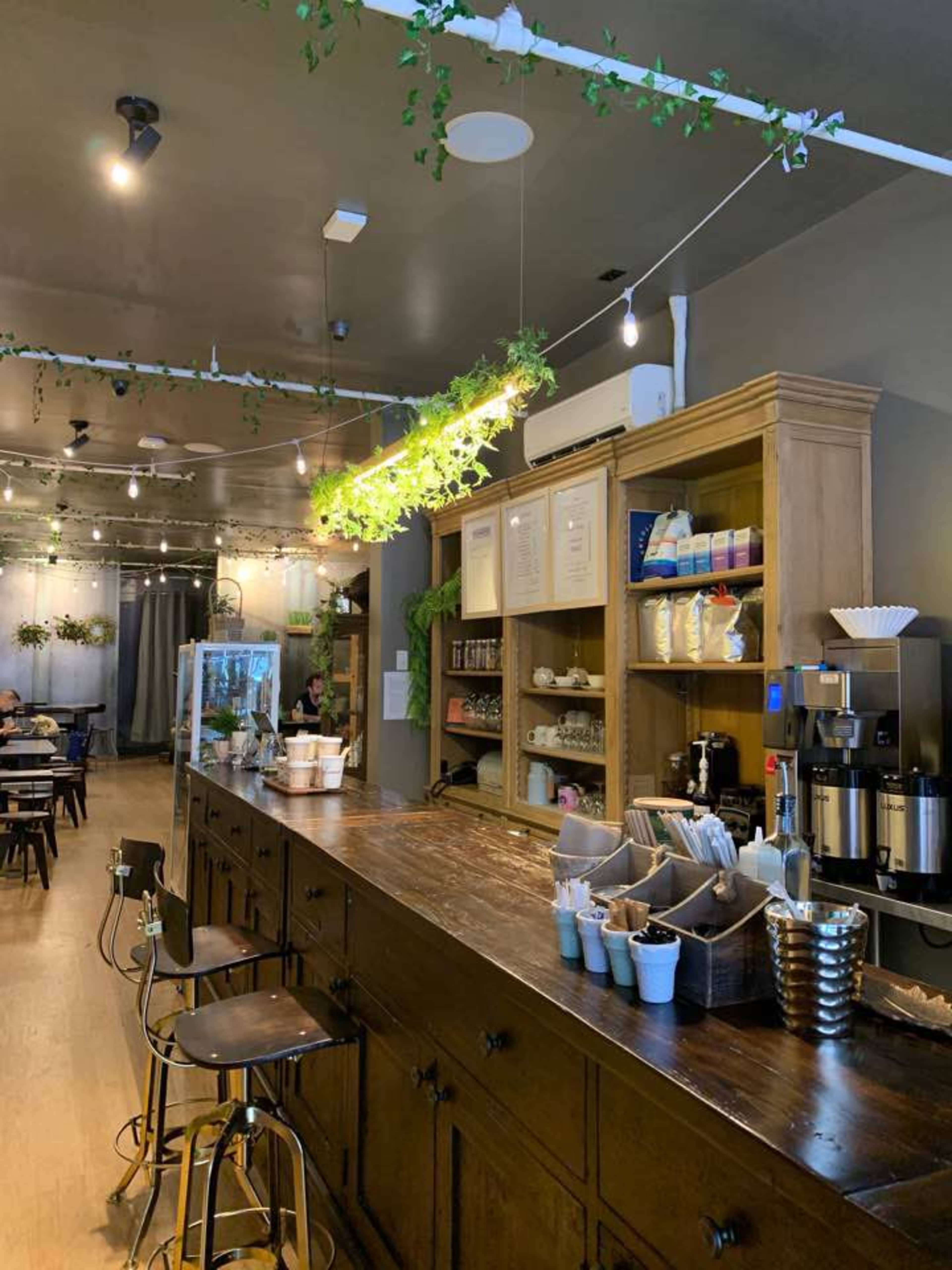 A coffee shop interior with a wooden counter, seating areas, and decorative plants hanging from the ceiling.