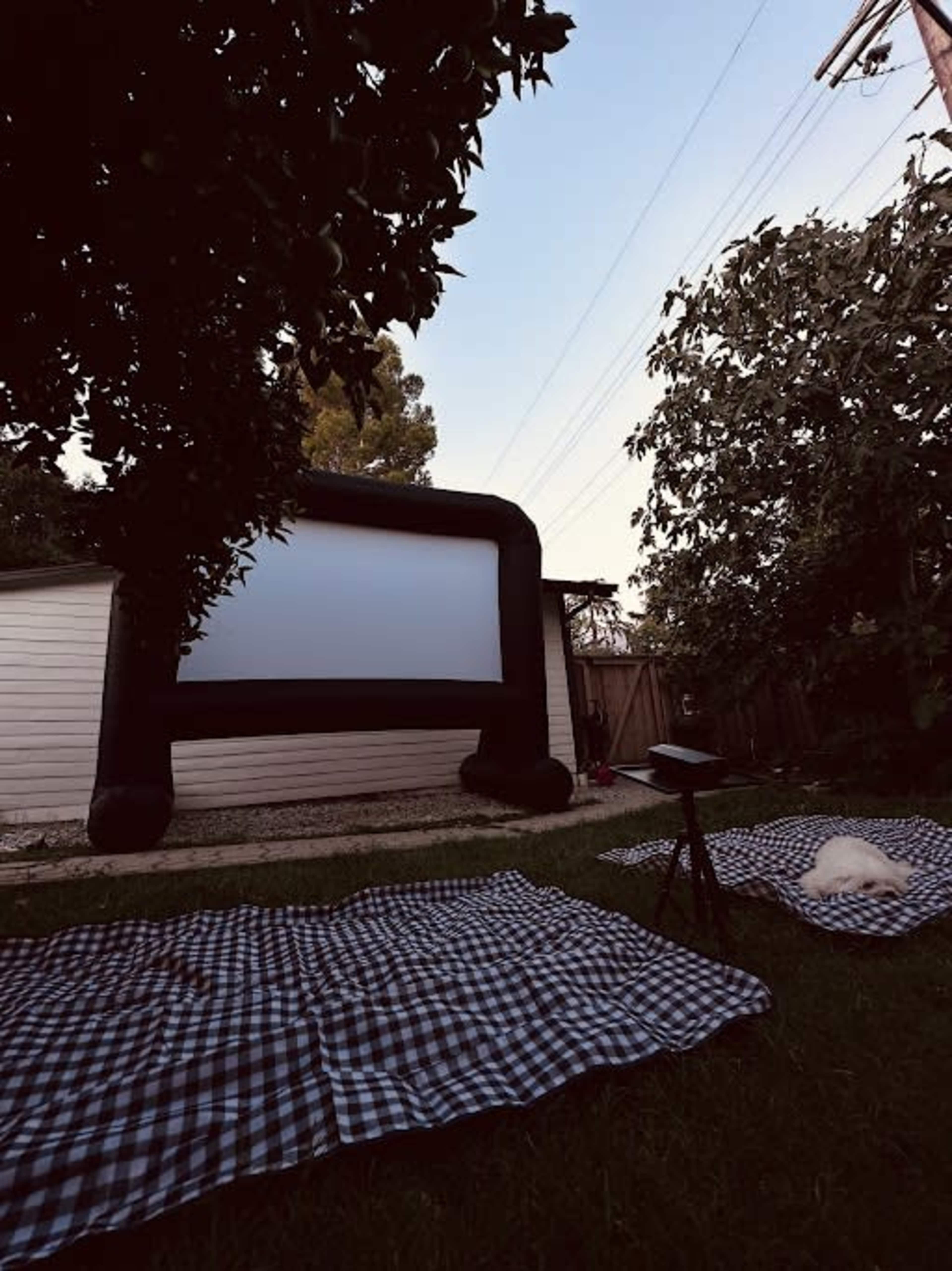An inflatable movie screen is set up in a backyard with checkered blankets laid out on the grass.
