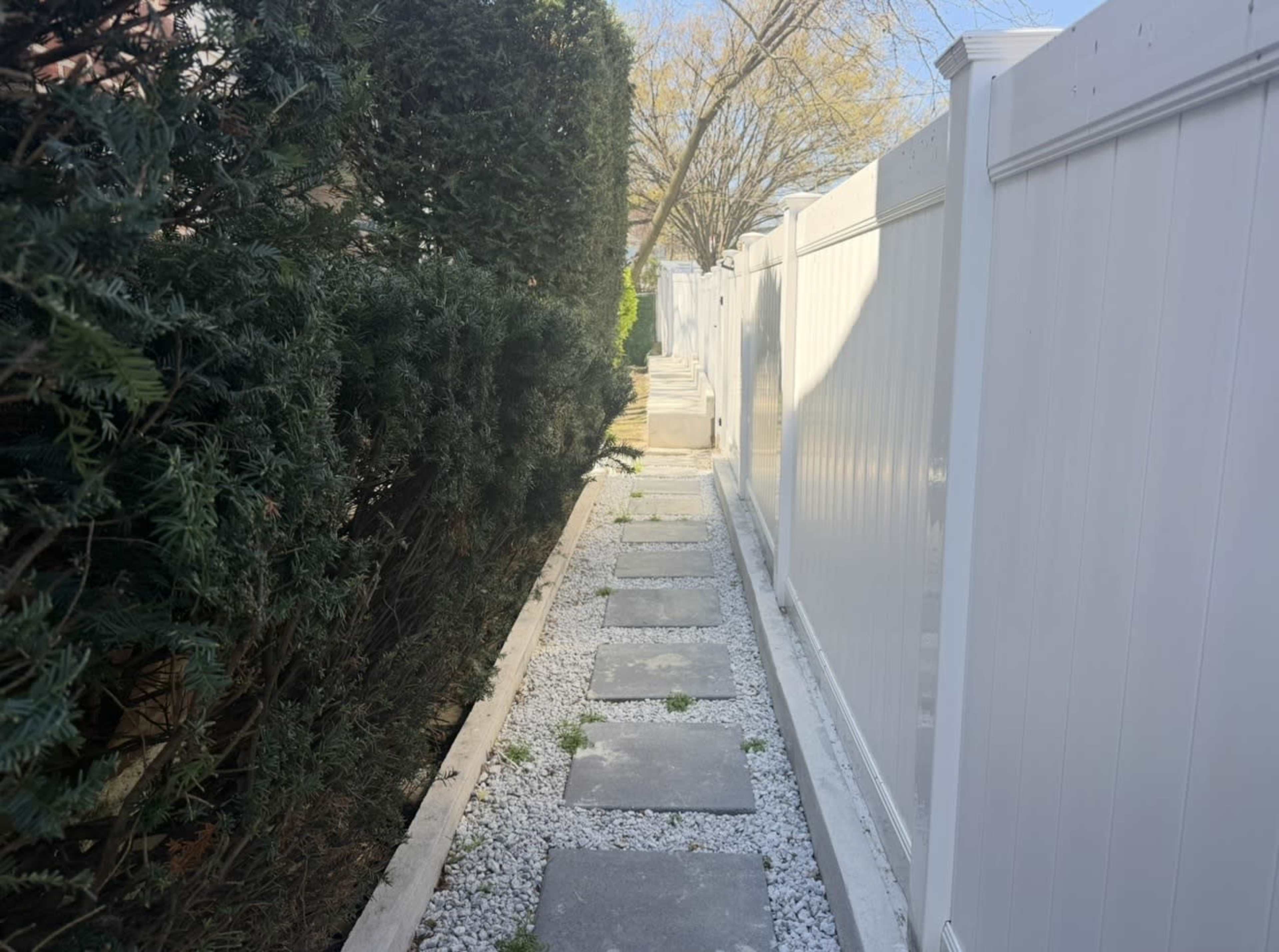 A narrow pathway lined with gravel and stepping stones runs between tall hedges and a white fence.