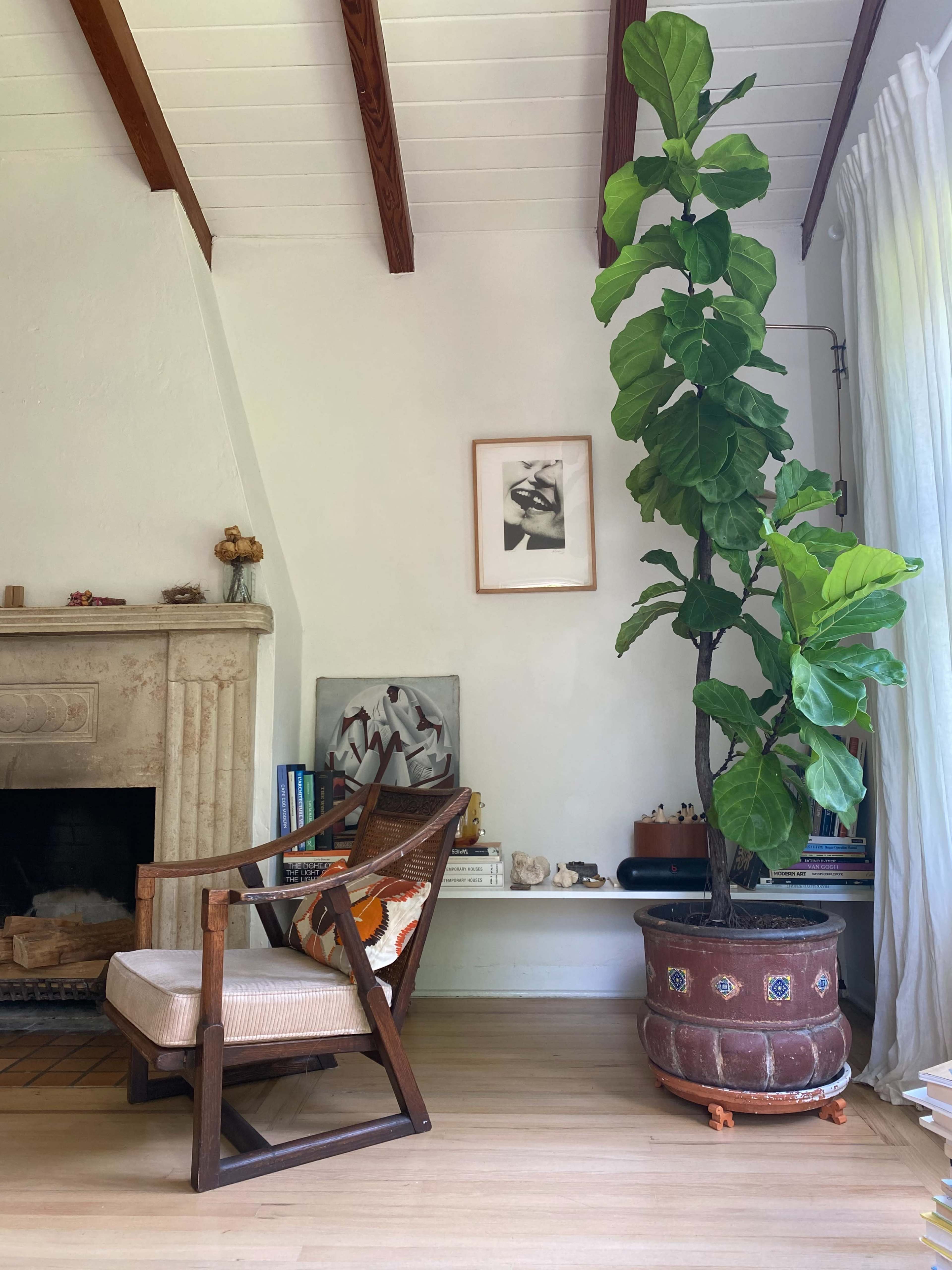 A wooden chair sits beside a tall potted plant in a bright living room with a stone fireplace and artwork on the walls.