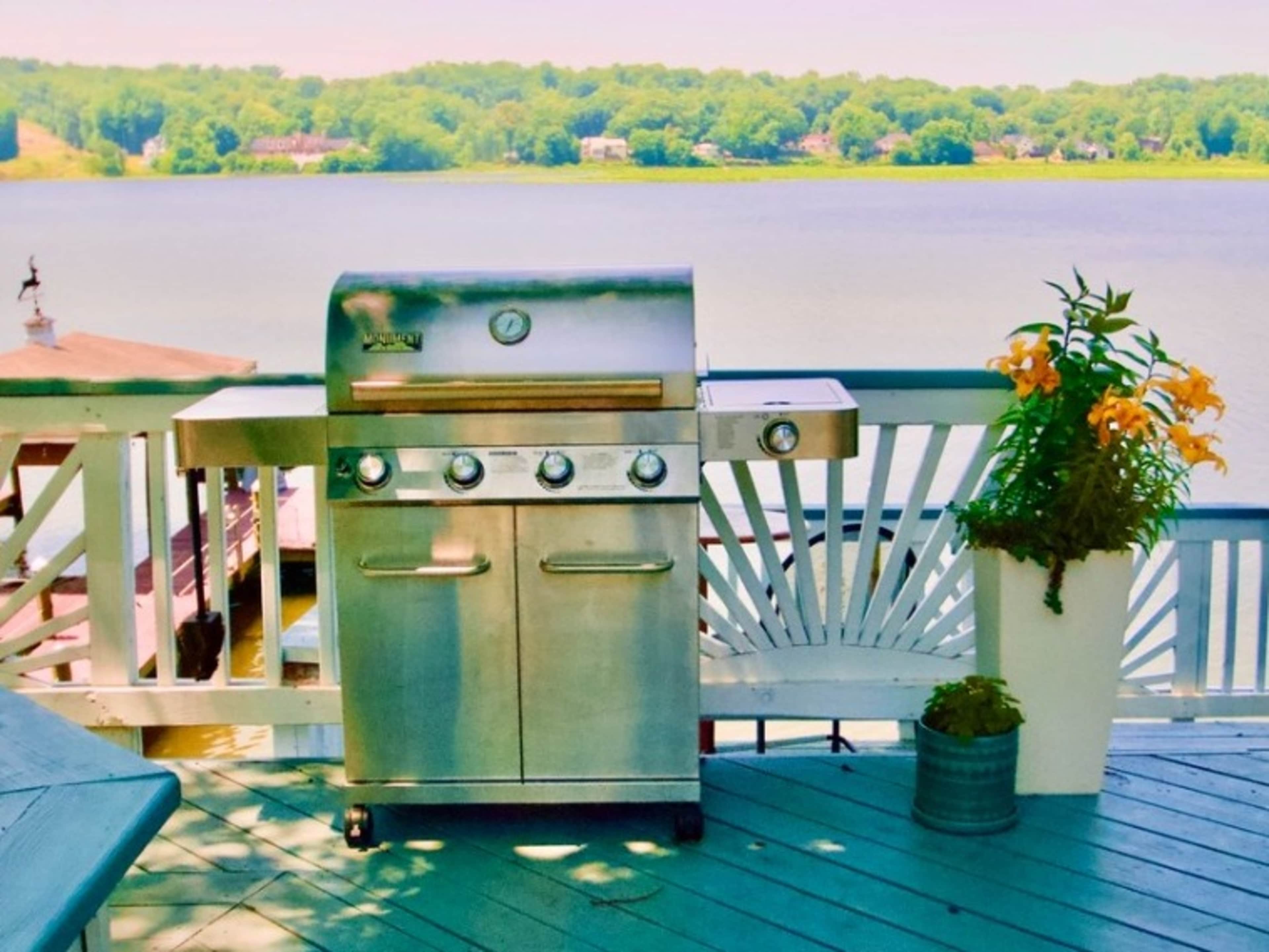 Gas Grill