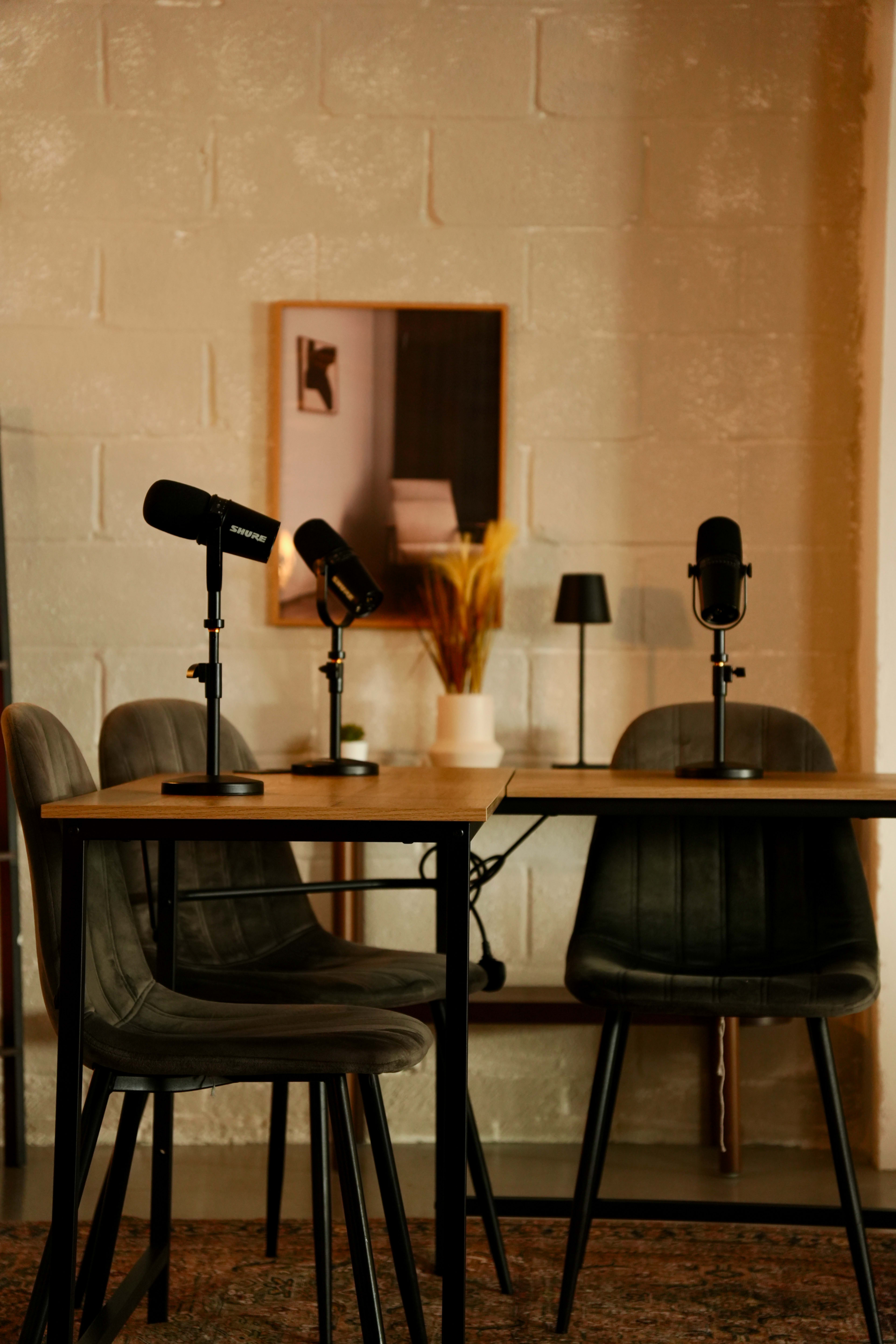 The image shows a small studio setup with four chairs around a table, each equipped with a microphone, alongside a decorative plant and a framed picture on the wall.