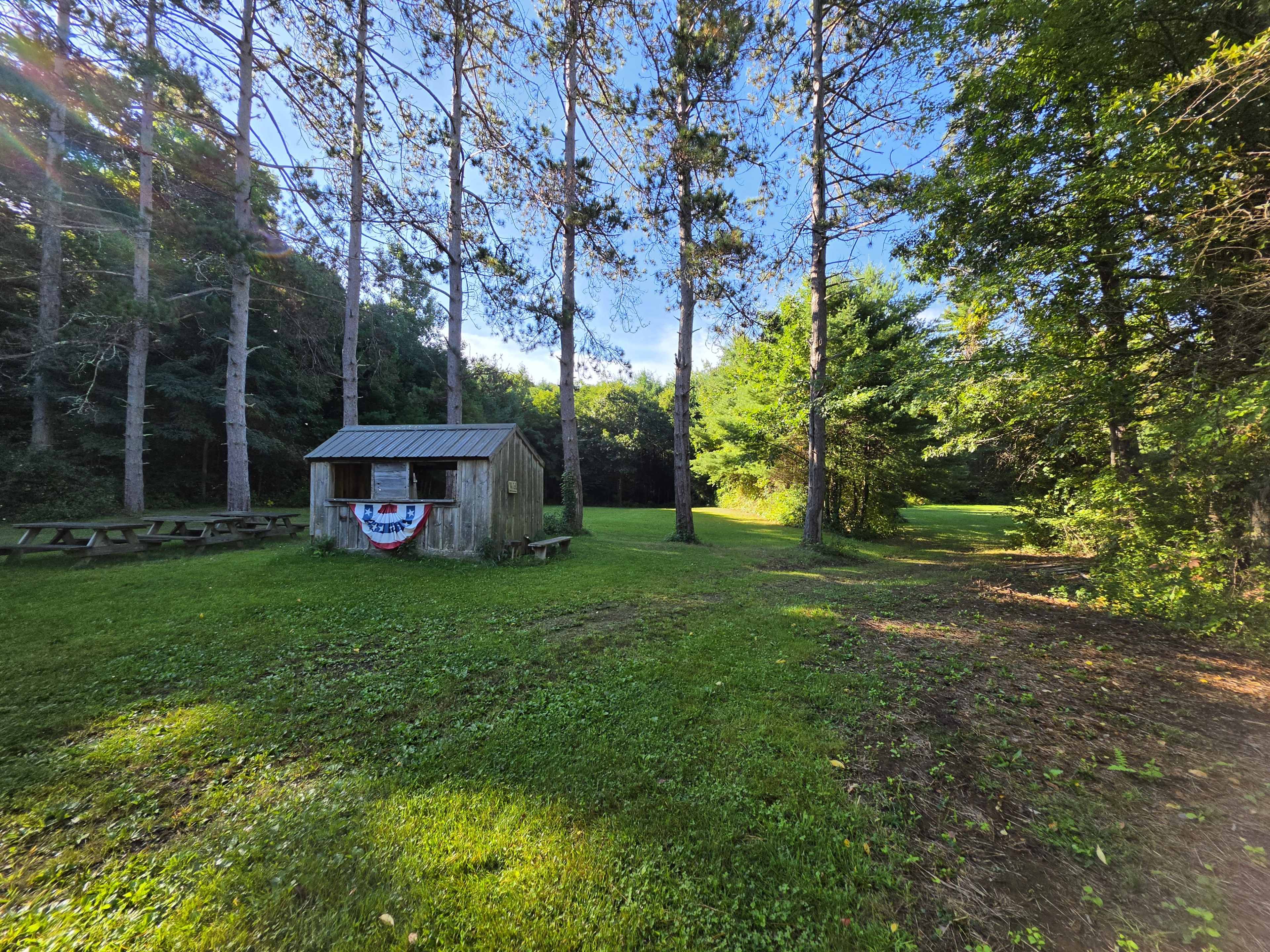 A small wooden shed with a metal roof sits in a grassy area surrounded by tall trees.
