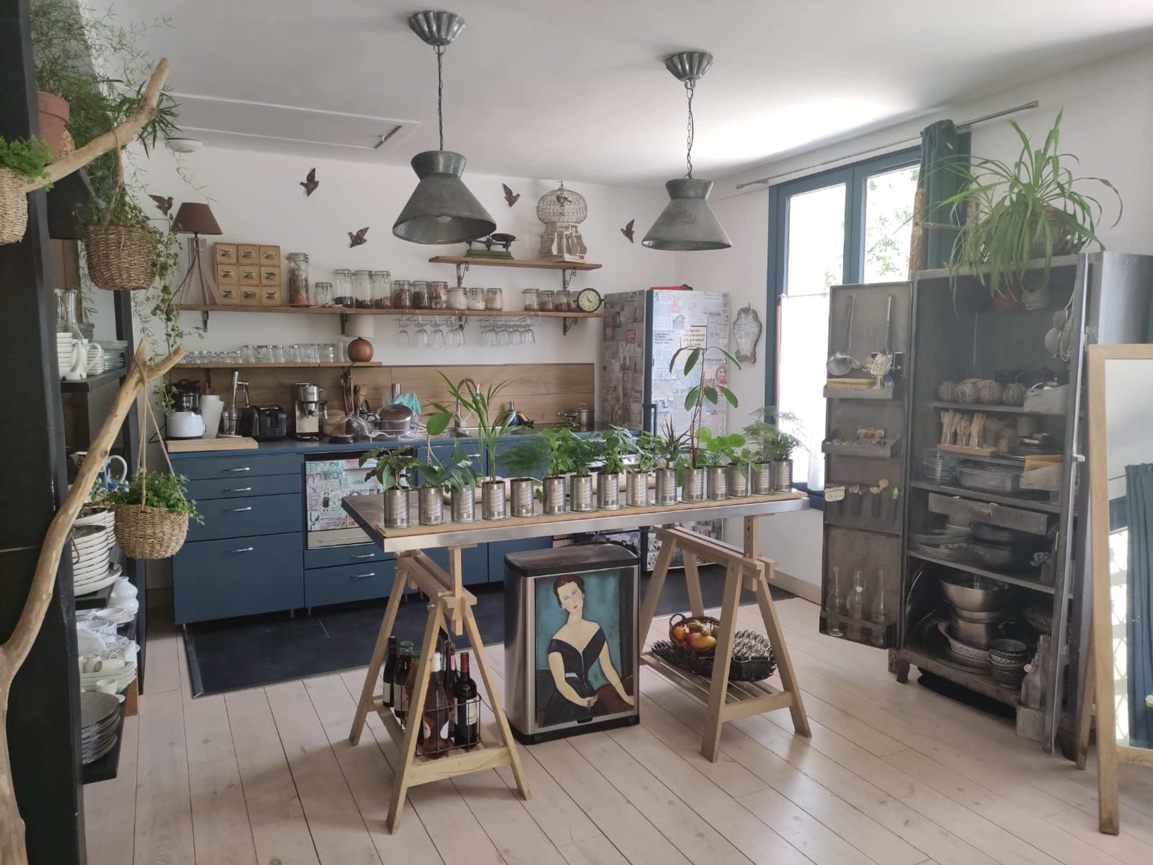 A spacious kitchen features a blue cabinetry setup, an island with potted plants, and various kitchenware arranged on shelves and in open storage.