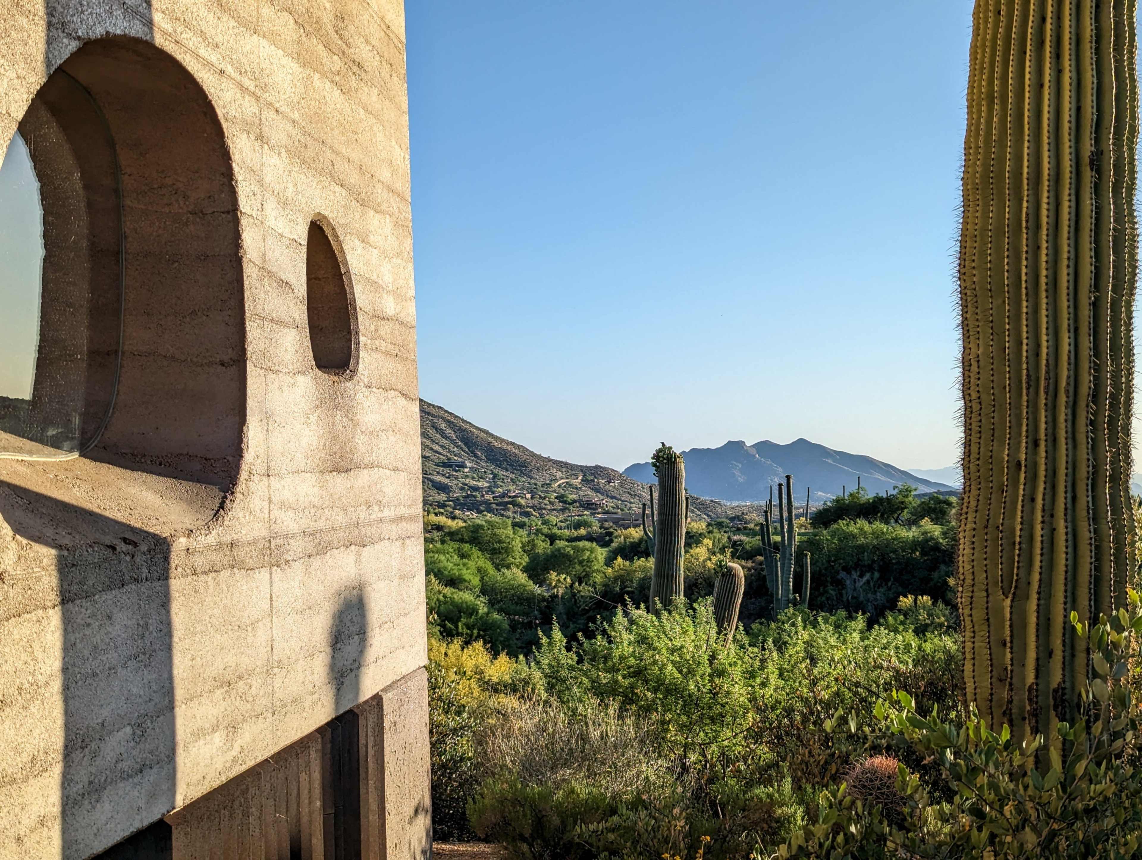 A modern concrete building is positioned beside tall cacti, with mountains visible in the background under a clear blue sky.