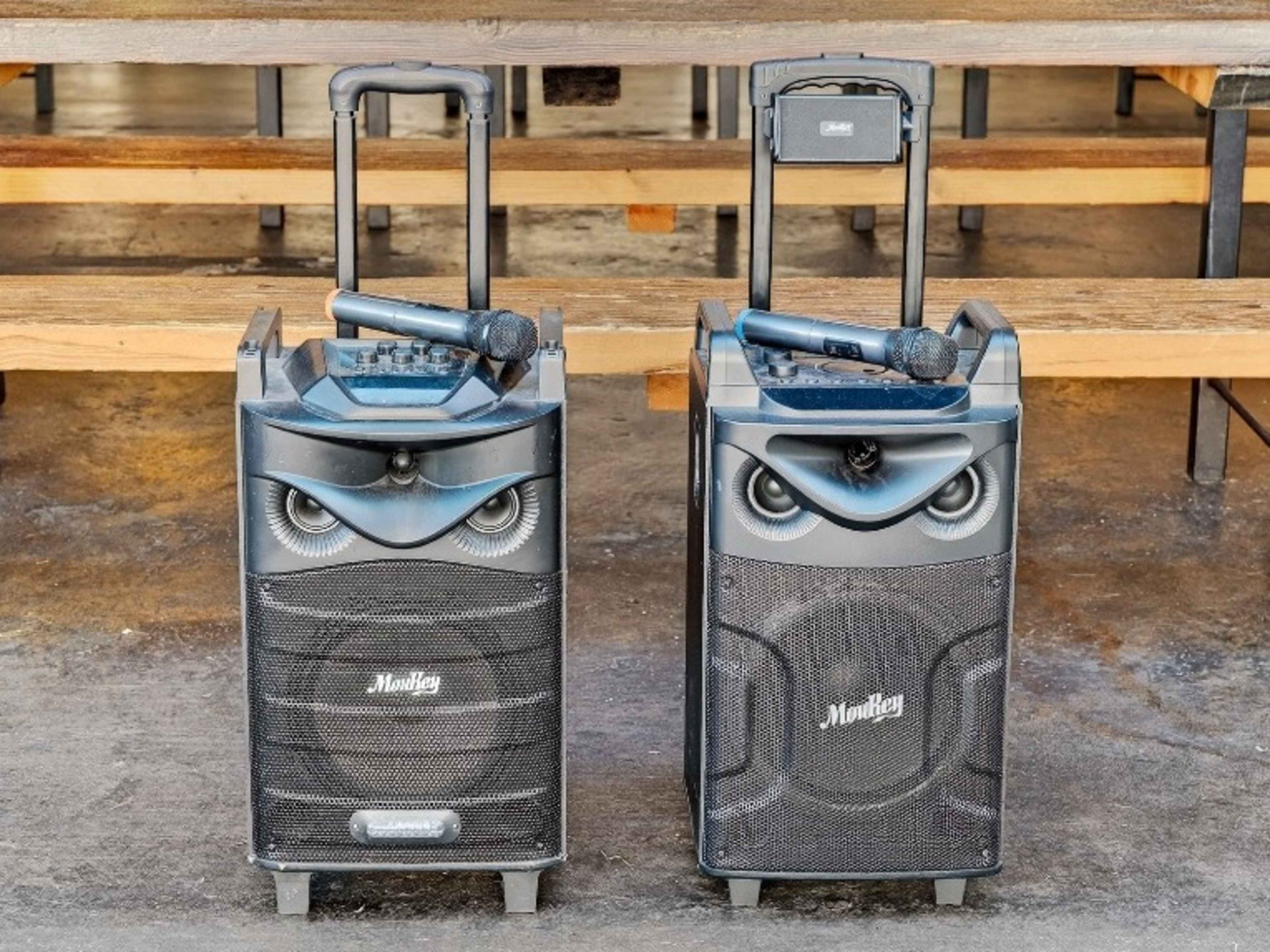 Portable PA system with Mic