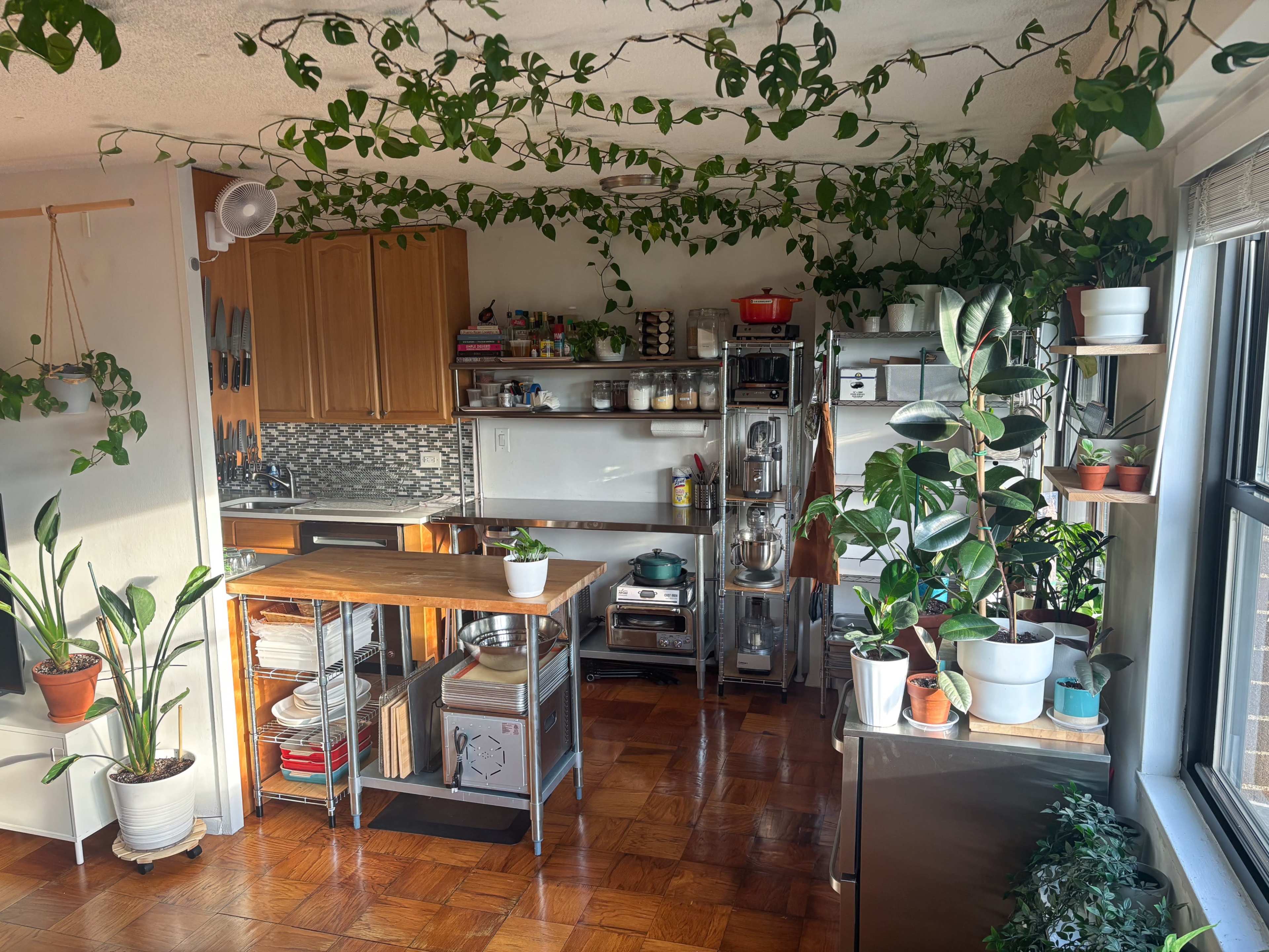 A bright kitchen features wooden cabinets, metal shelving units, and numerous potted plants draping from the ceiling.