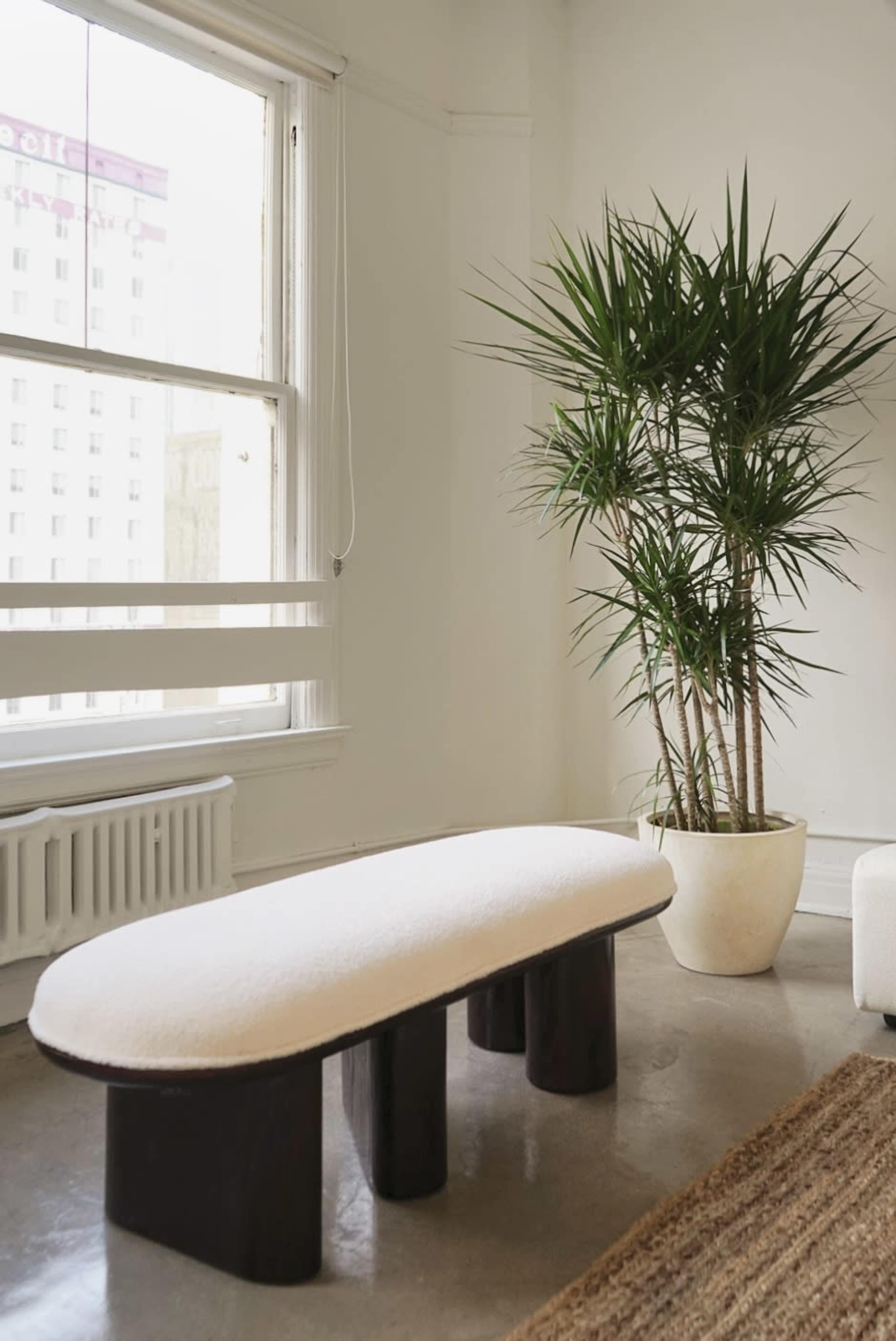 A minimalist room with a curved white bench beside a tall potted plant, positioned near a large window.
