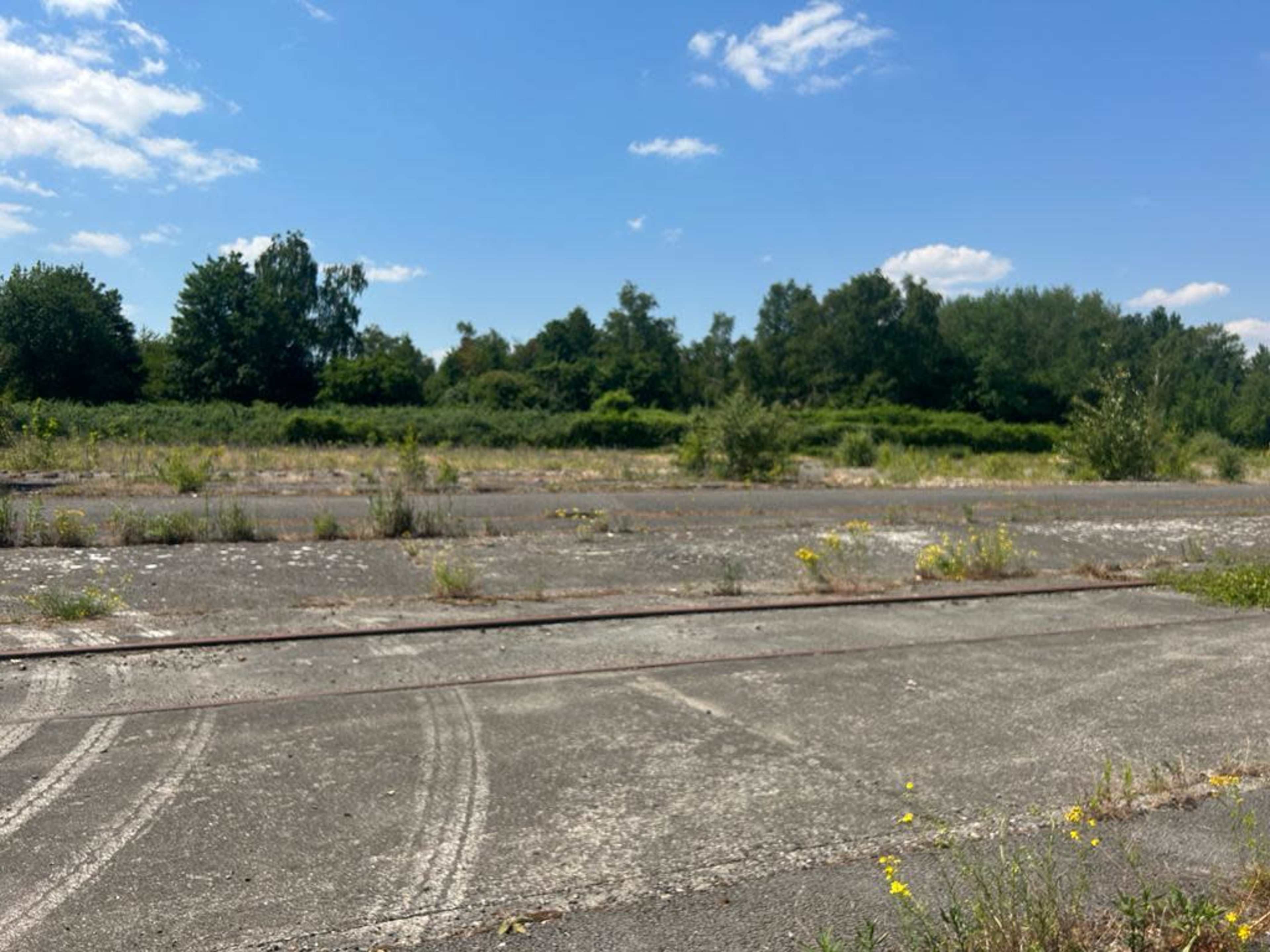 An empty, overgrown concrete area with remnants of railway tracks surrounded by trees and vegetation under a clear blue sky.