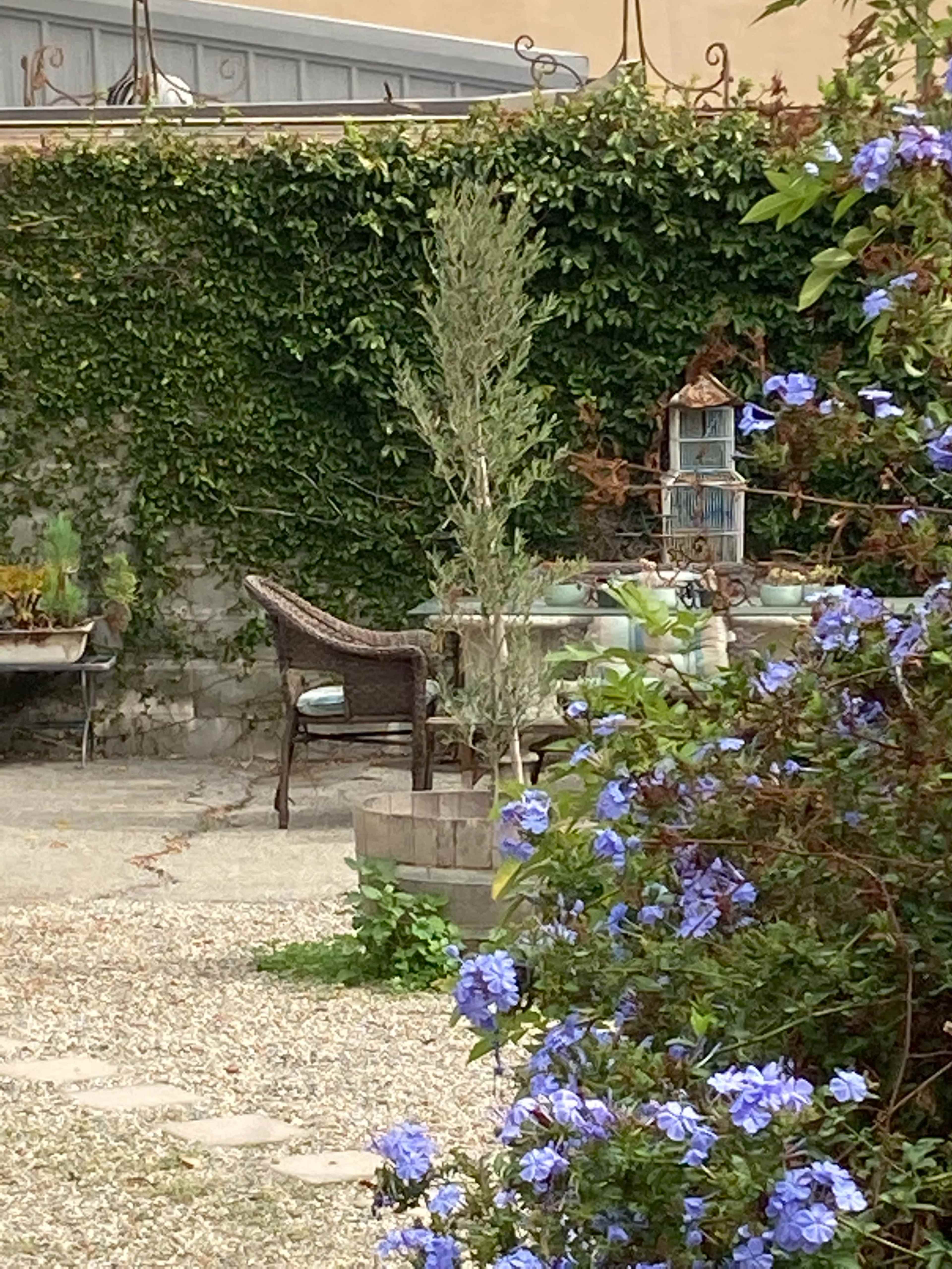 A small outdoor seating area is surrounded by green foliage and flowering blue plants.