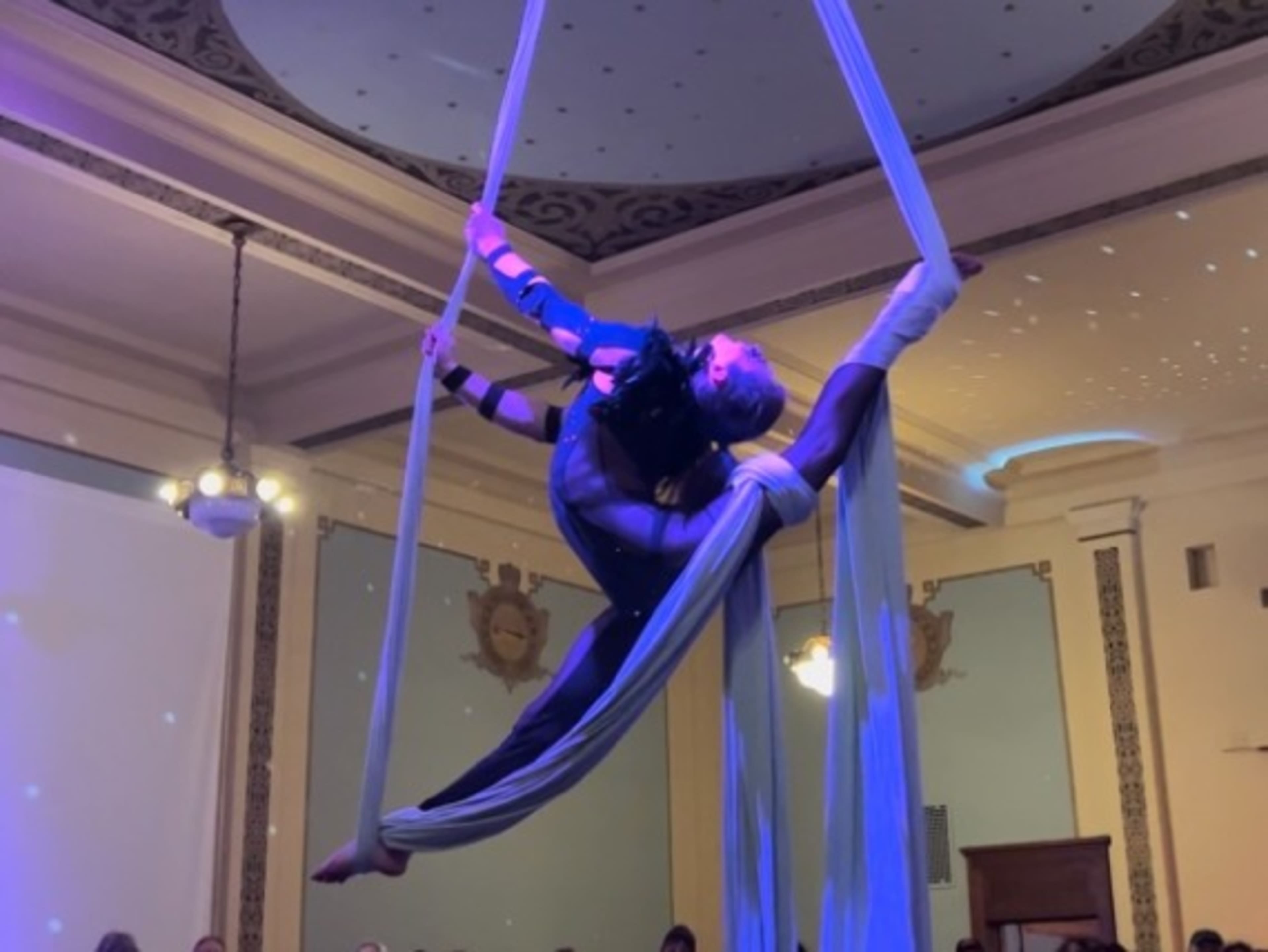 Aerial Arts Equipment