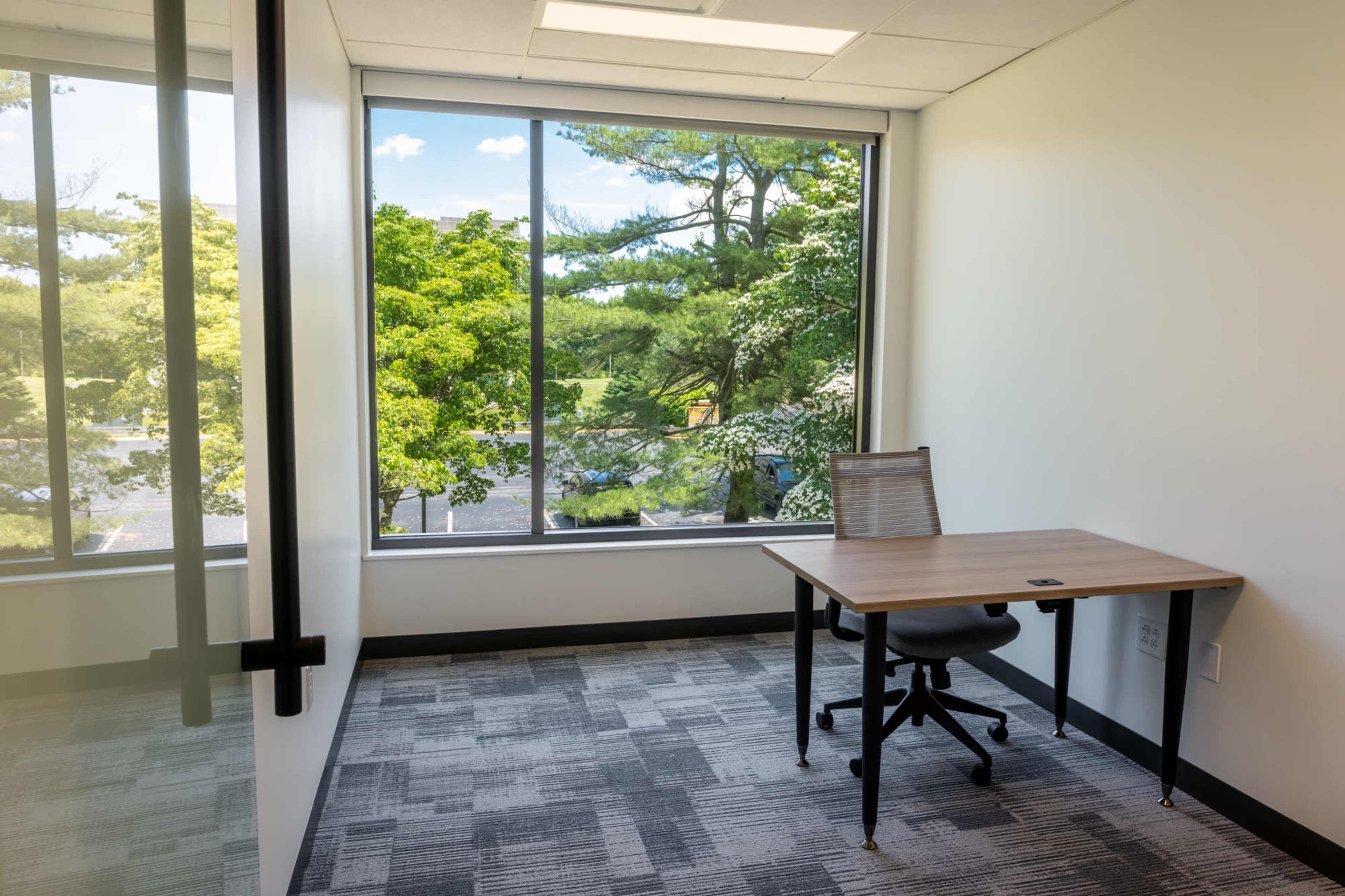 An empty office space features a desk and chair next to a large window overlooking trees and a parking area.