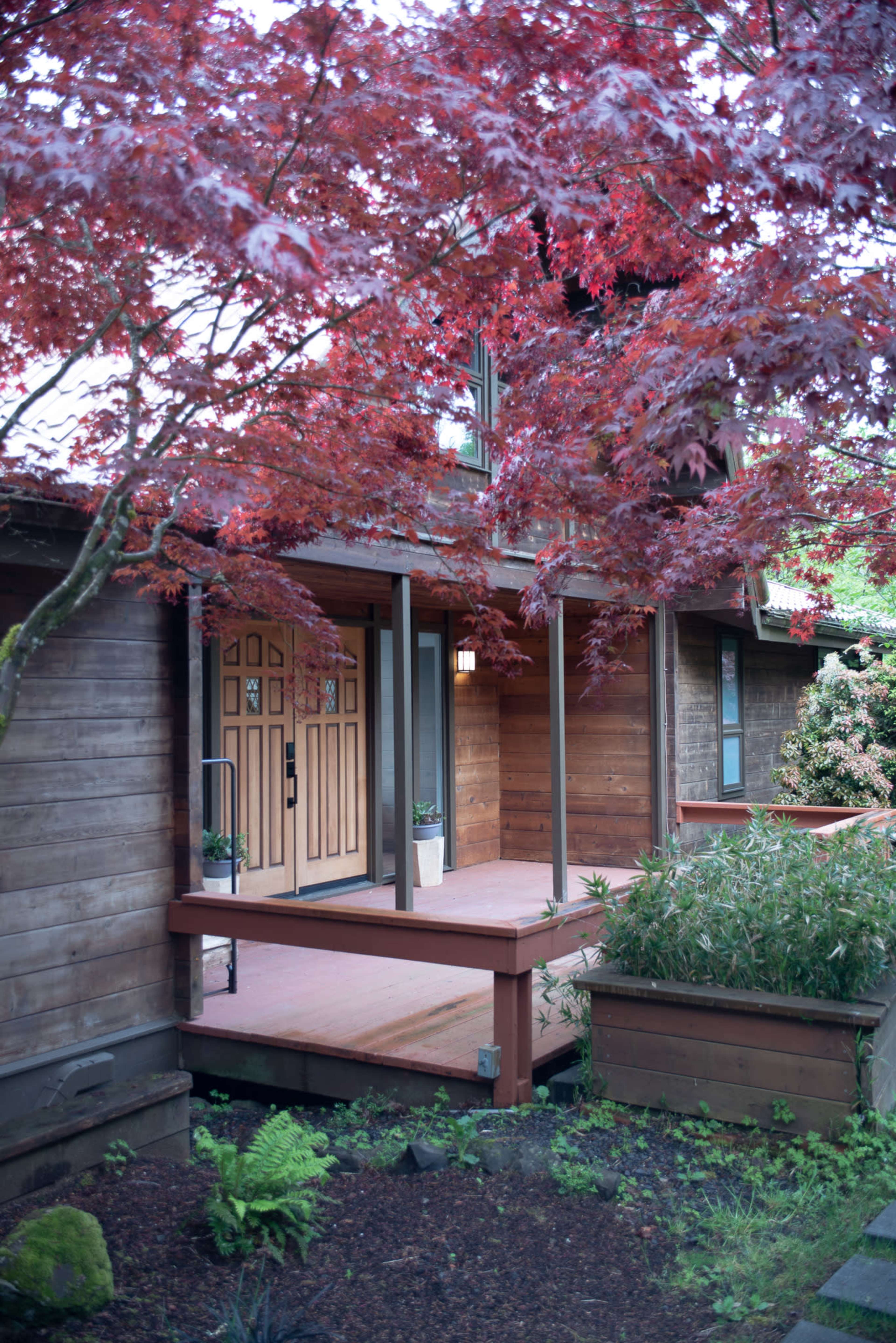 The image shows a wooden house entrance framed by vibrant red maple trees and greenery.