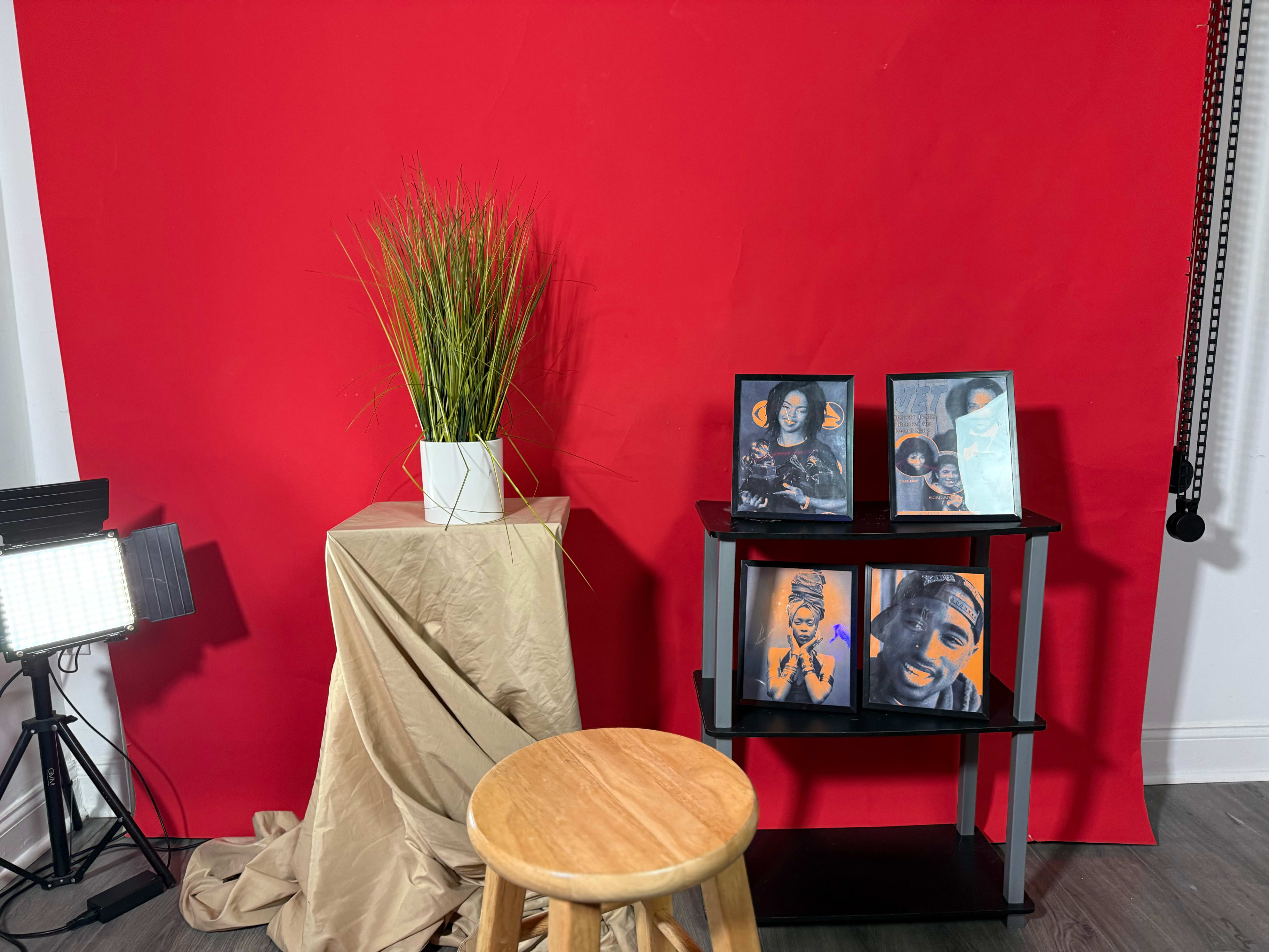 The image shows a red backdrop with a potted plant on a pedestal, alongside a black shelf displaying framed portraits and a wooden stool.