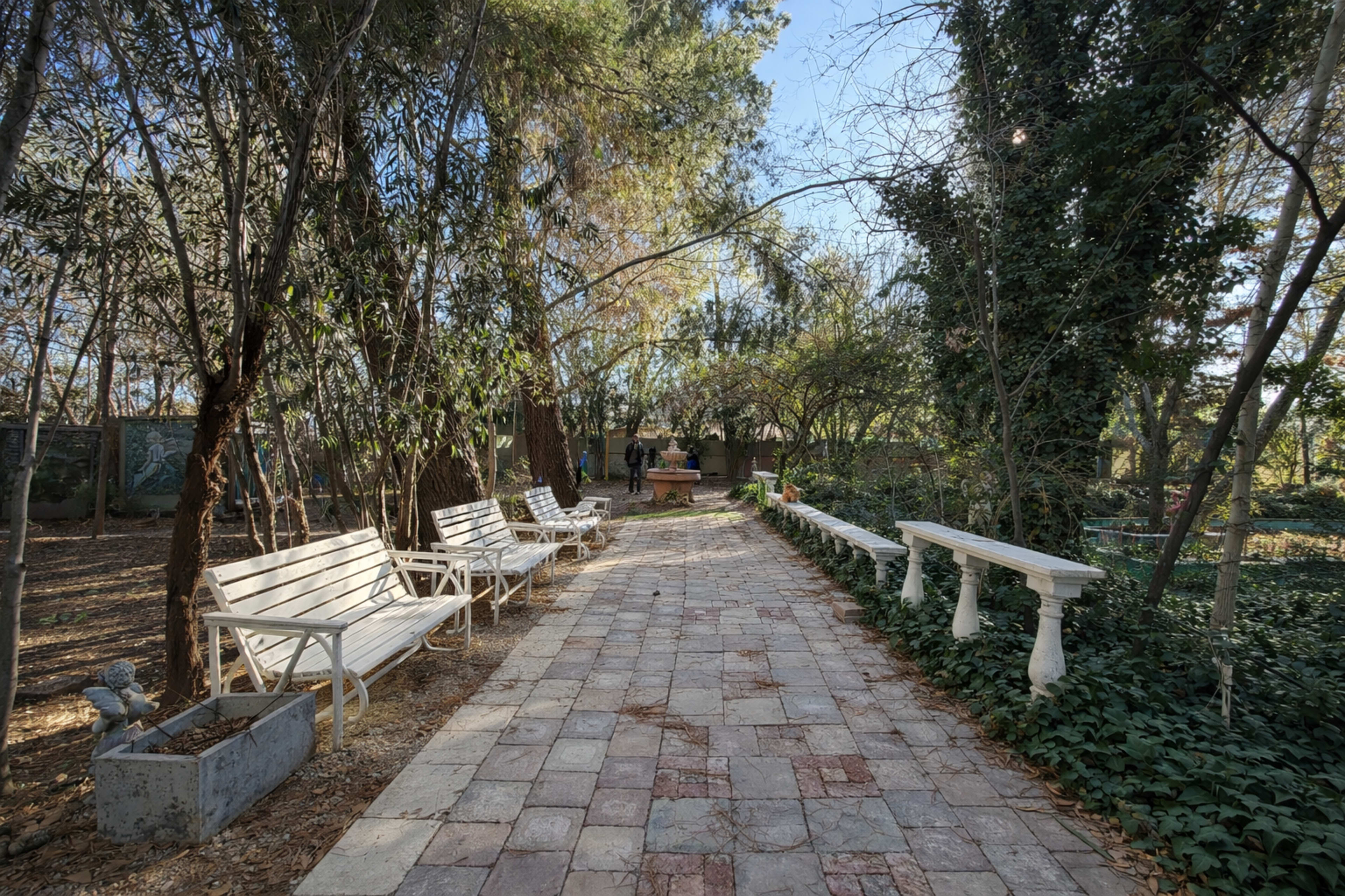 European-Style Garden Courtyard with Lush Greenery Image in Sun Village, Littlerock, CA