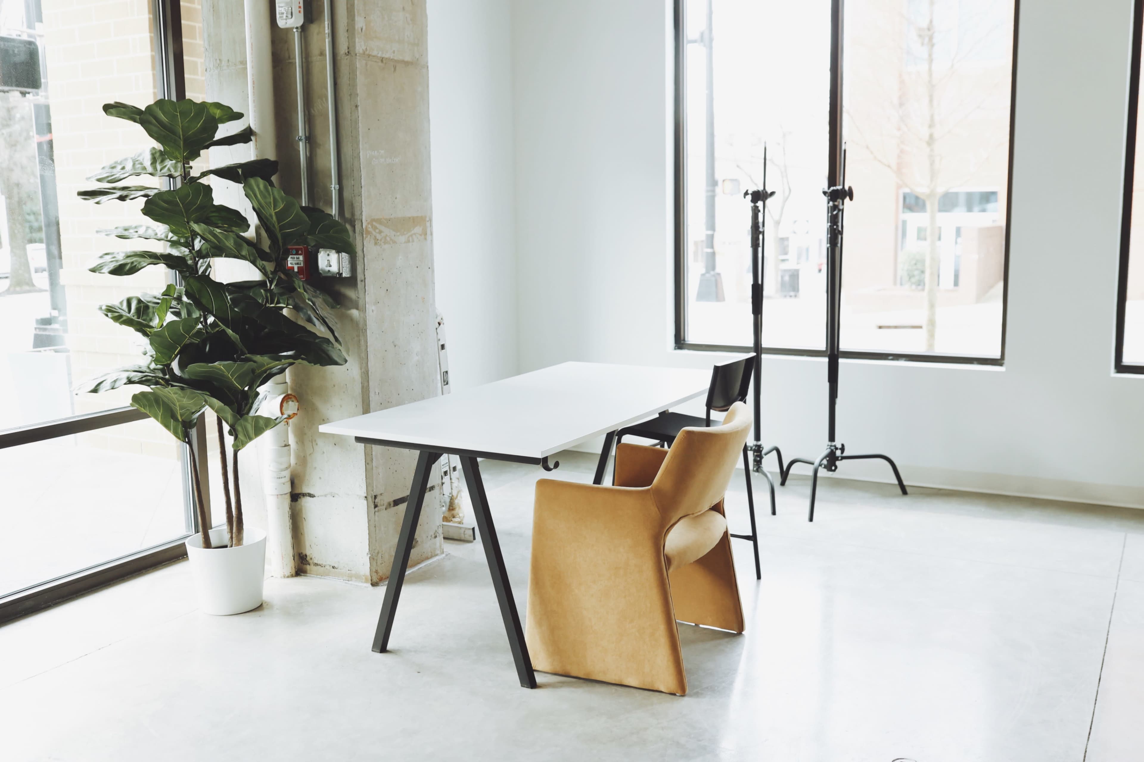 A minimalistic office space features a gray desk, two chairs, a large plant, and large windows allowing natural light to enter.