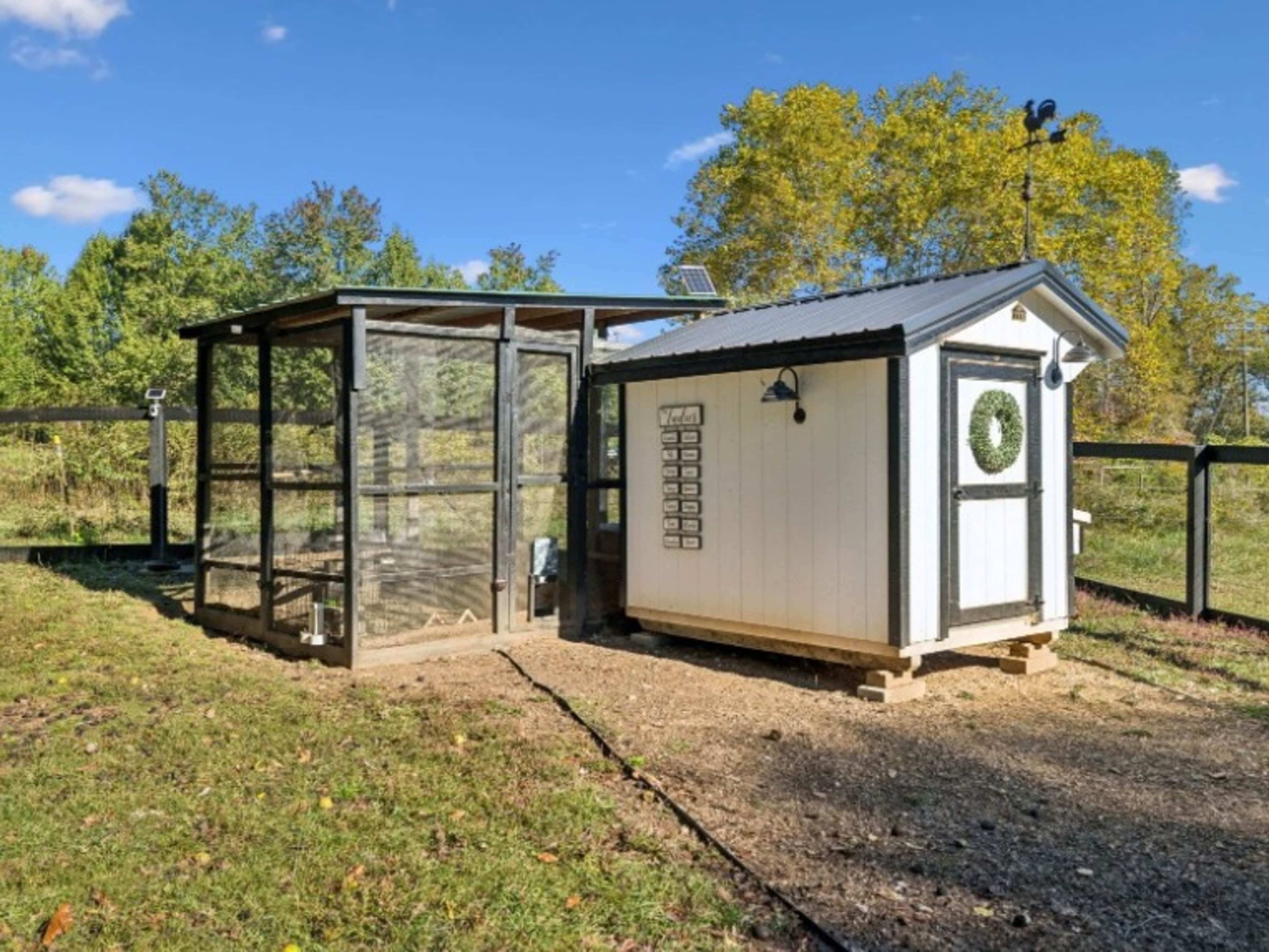 🐓 Chicken Coop + Free-Range Chickens 
