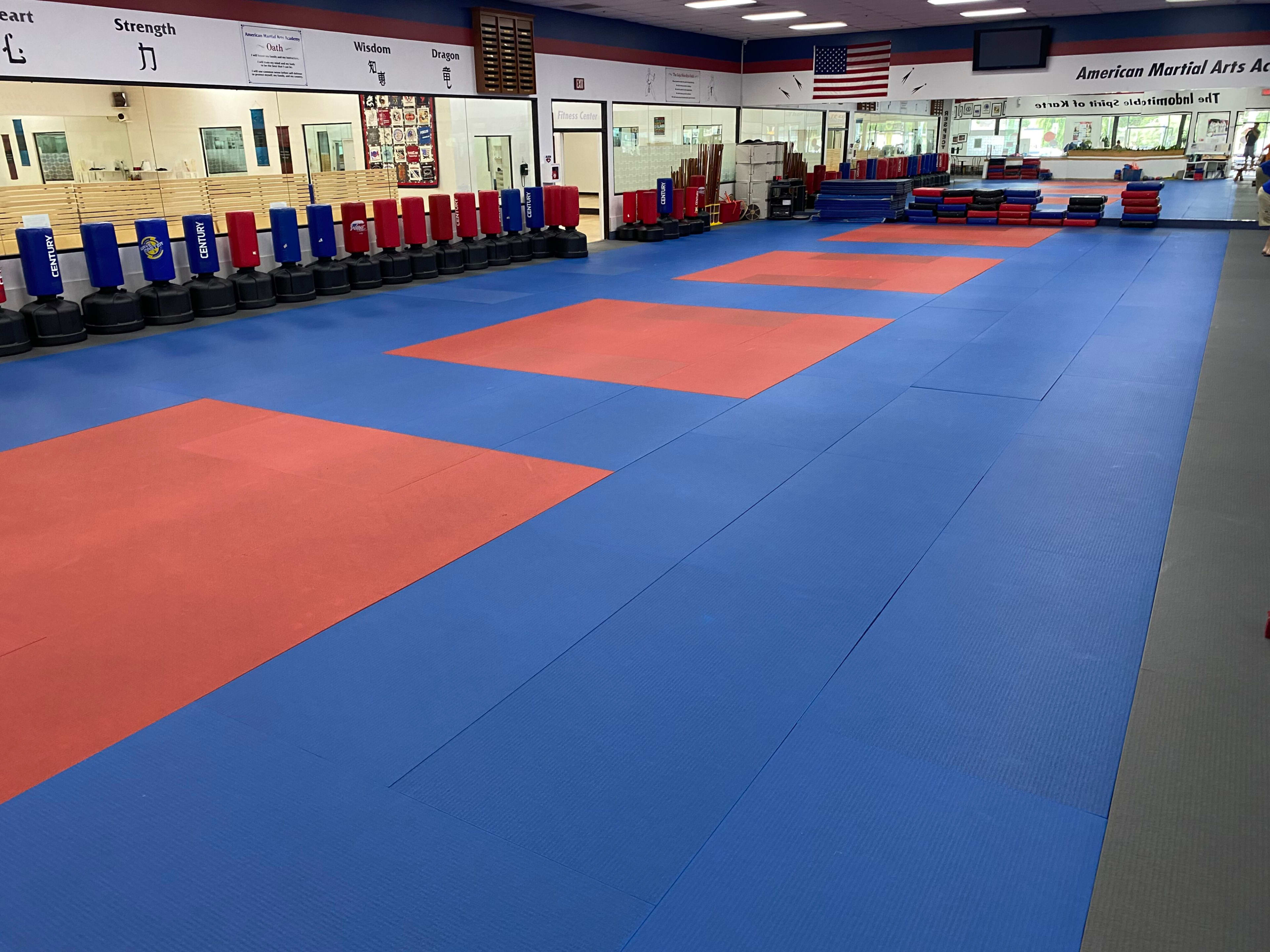 The image shows a martial arts training facility with blue and red mats, surrounded by padded training equipment and mirrors on the walls.